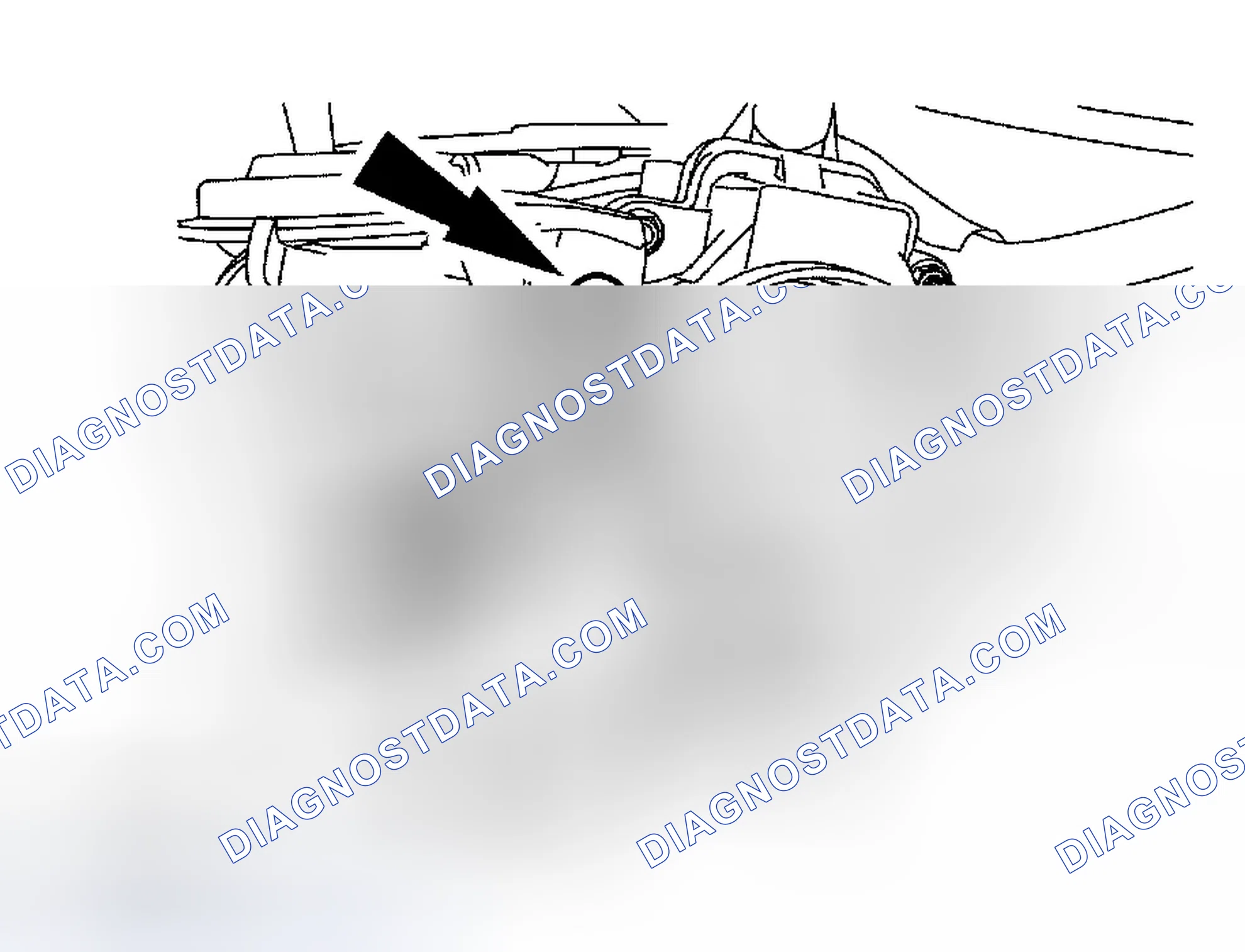 Scheme 335