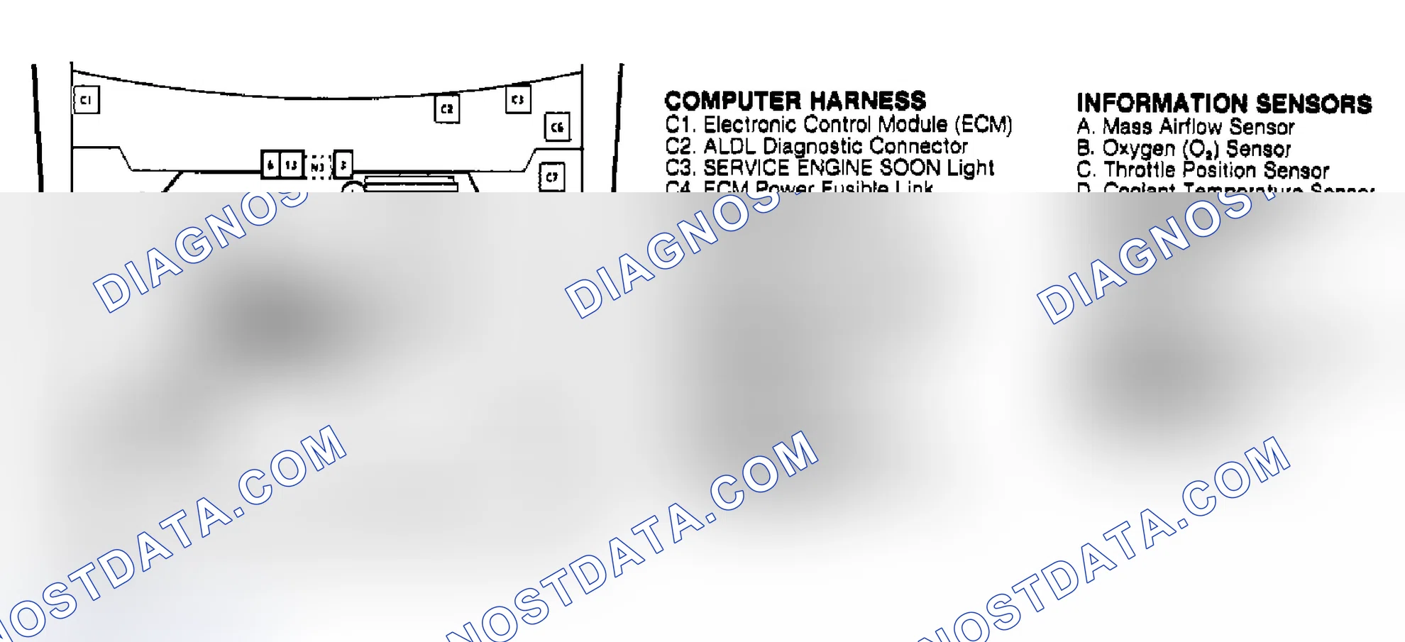 Scheme 135