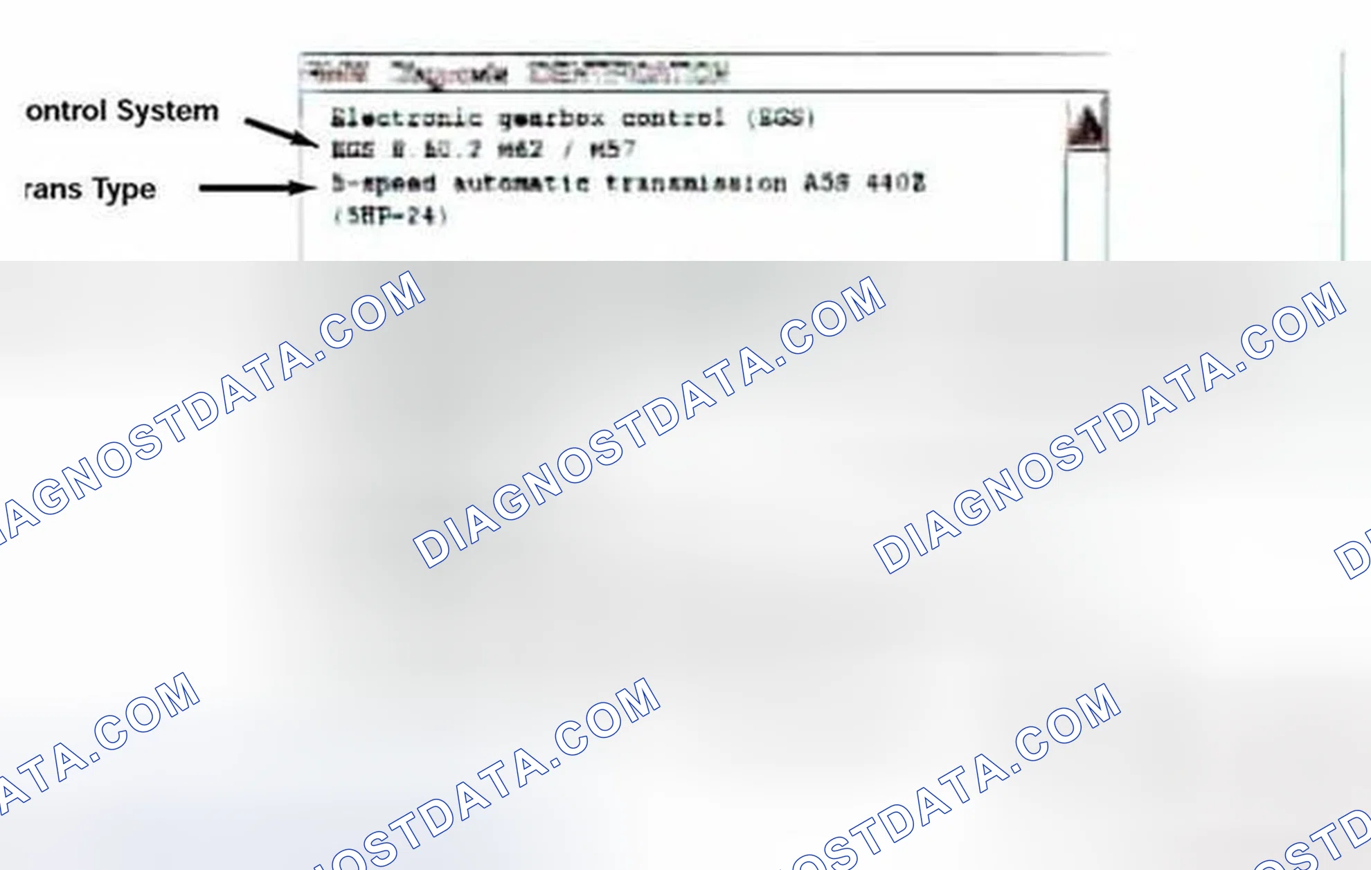 Scheme 330: Identification Page