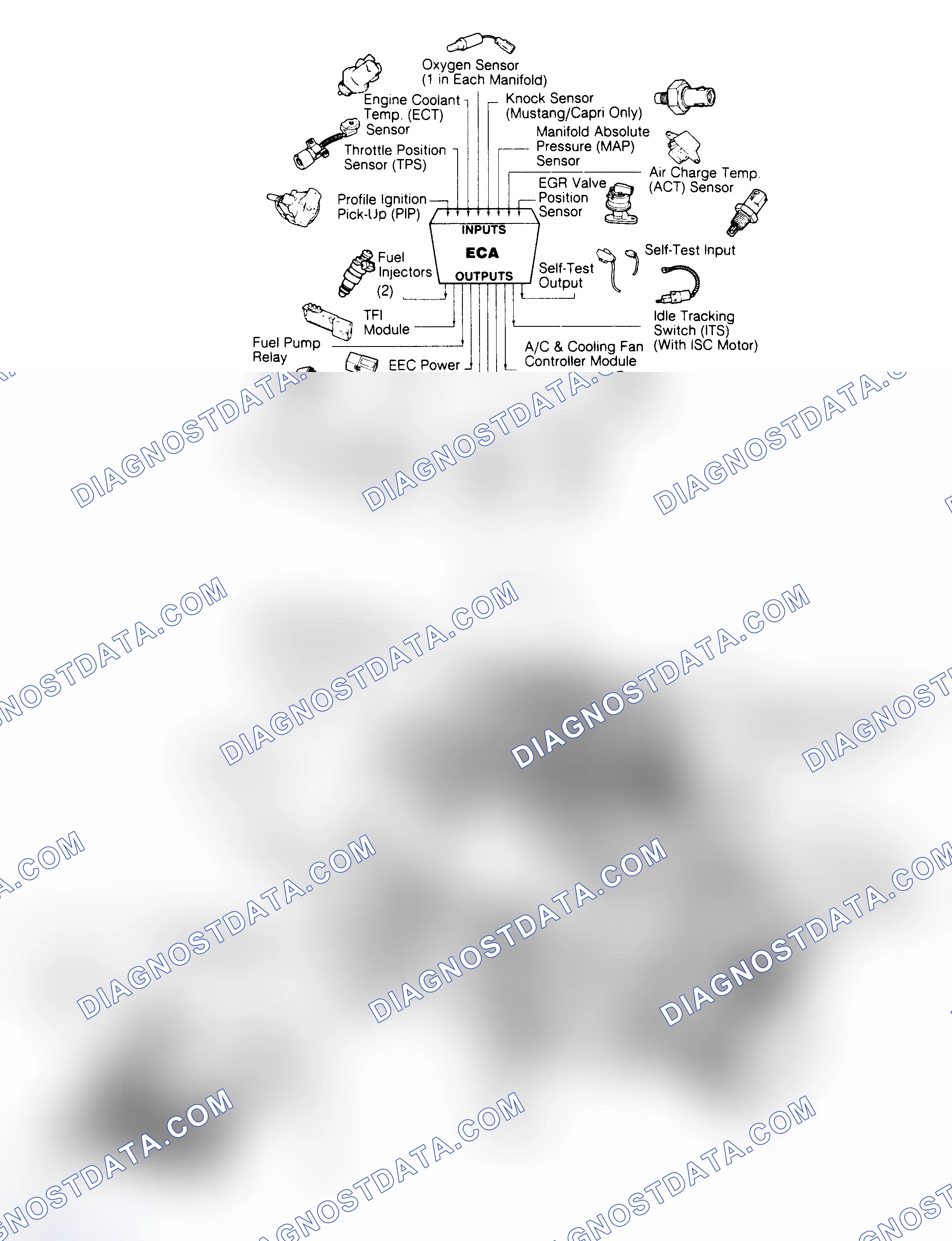 Scheme 101: 3.8L CFI EEC-IV Inputs/Outputs & Component Locations