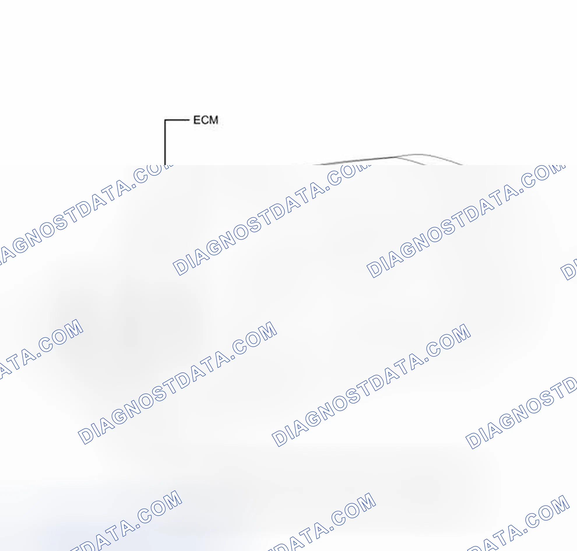 Scheme 19: ILLUSTRATION
