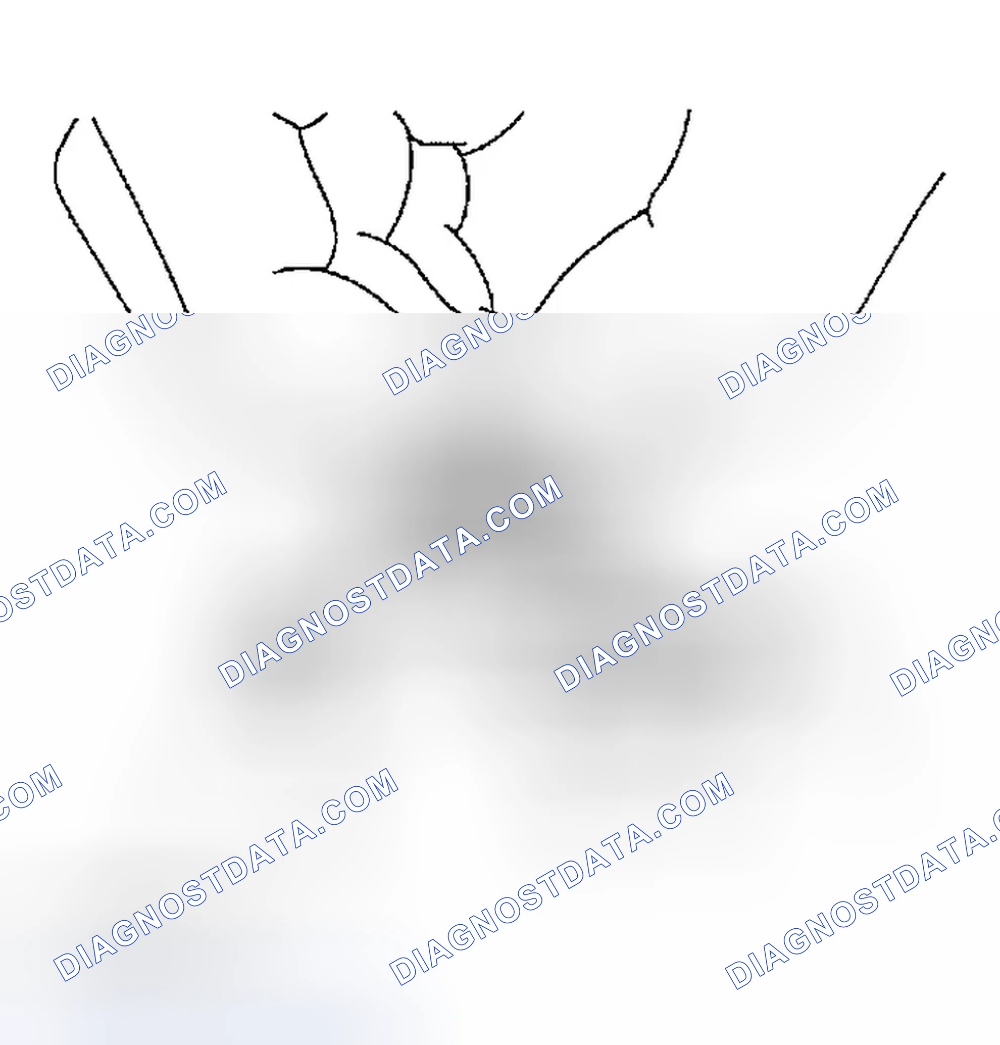 Scheme 27: Checking Radiator Cap