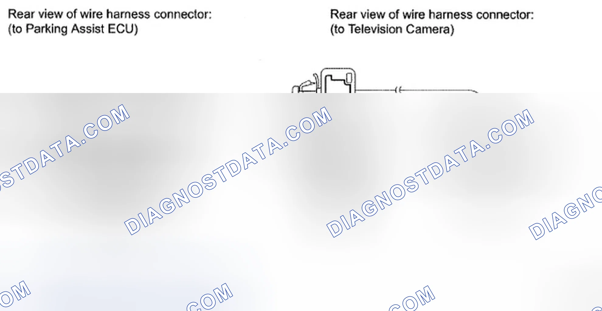 Scheme 146