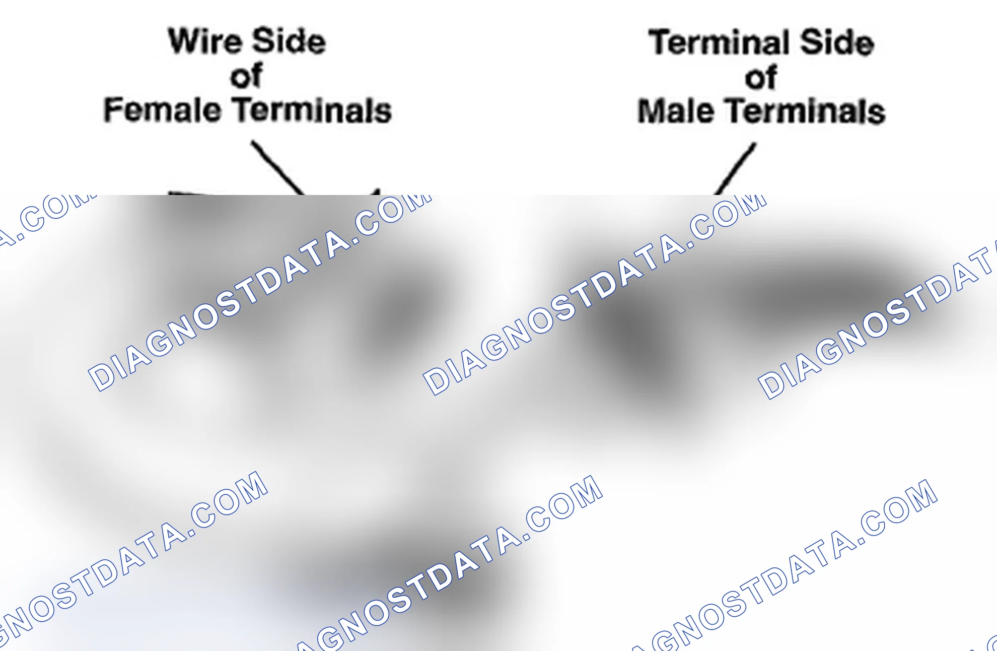 Scheme 404: Identifying Connector Male Terminals And Female Terminals
