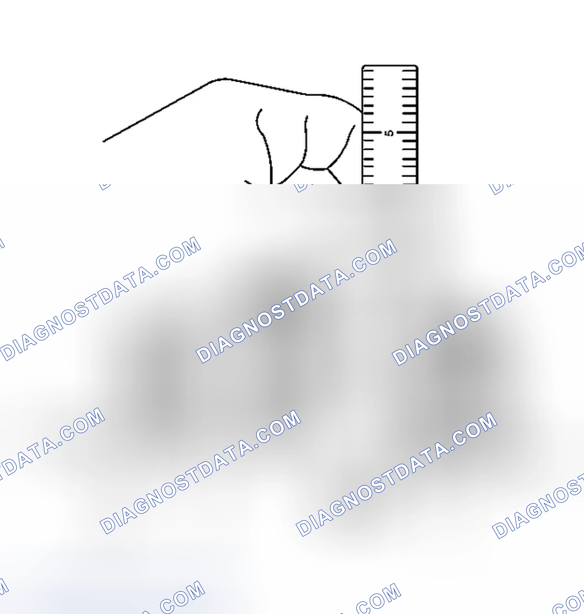 Scheme 126