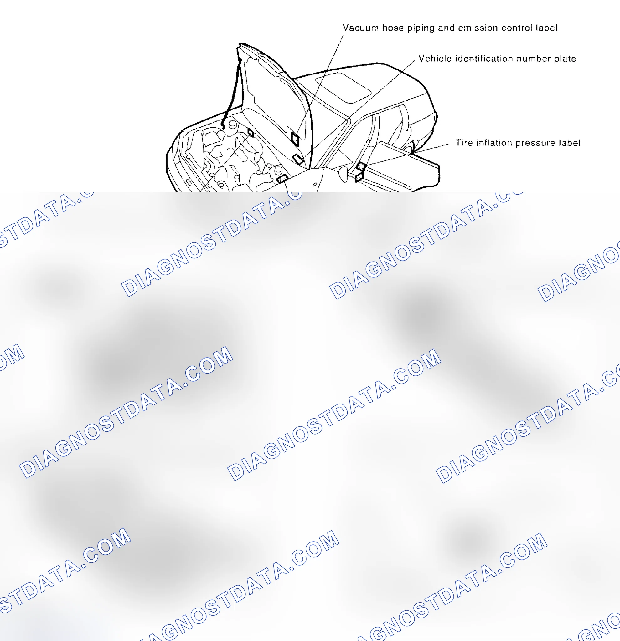 Scheme 1: IDENTIFICATION NUMBERS AND LABEL LOCATIONS