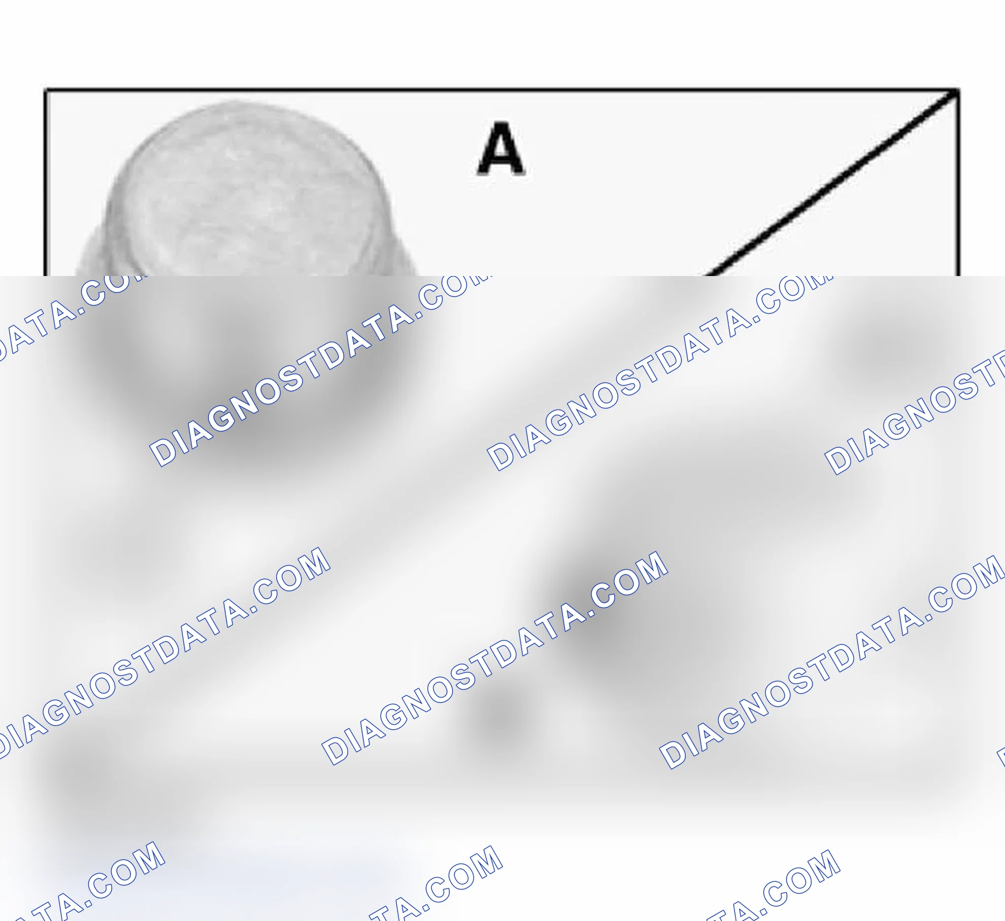 Scheme 27