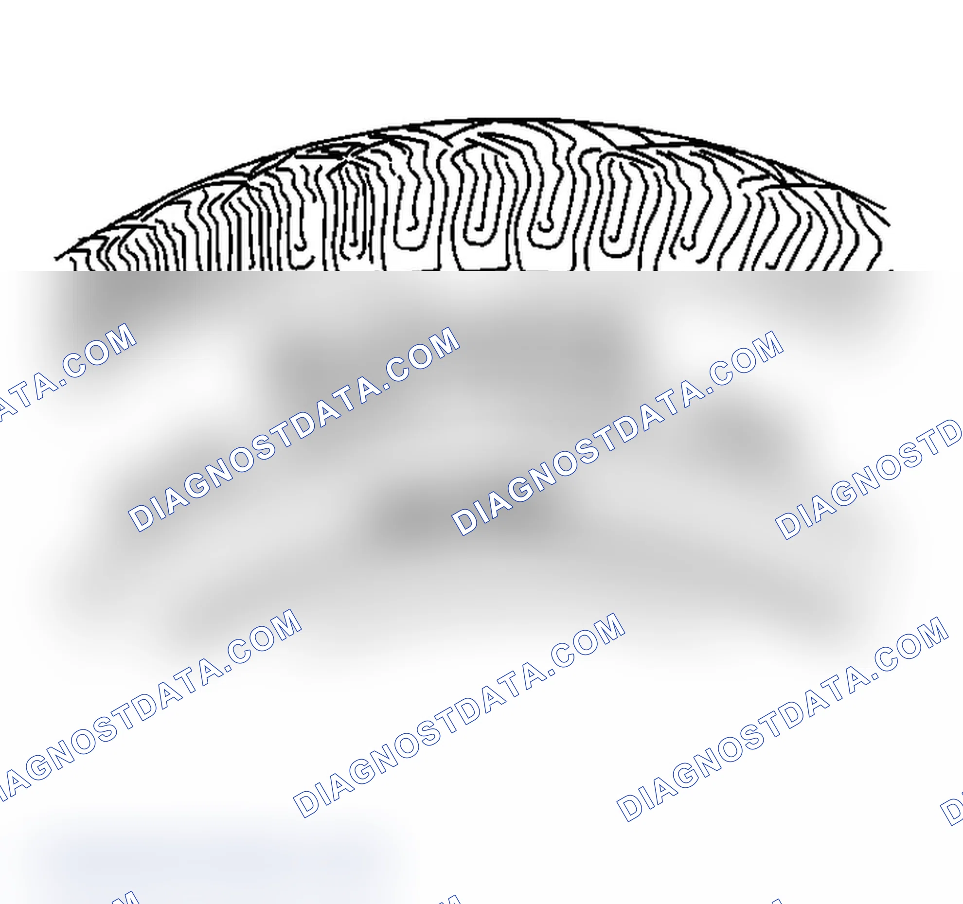 Scheme 2: Tire and Wheel Inspection