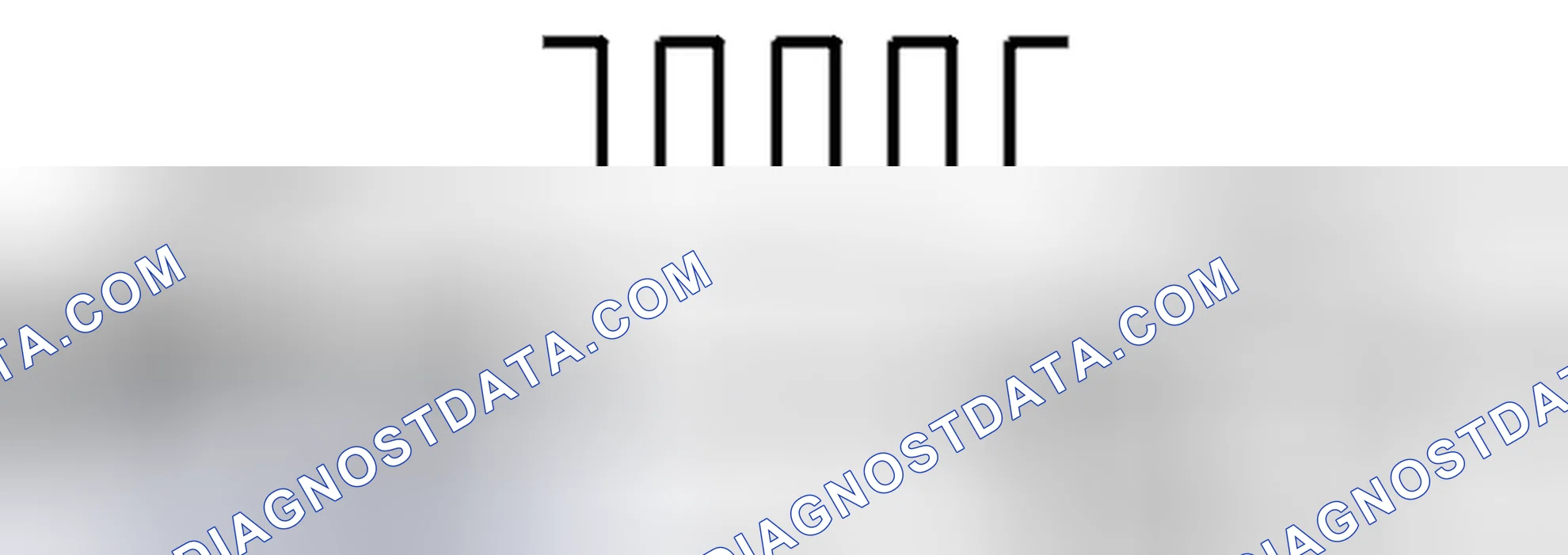Scheme 25: Diagnostic trouble code (DTC) information