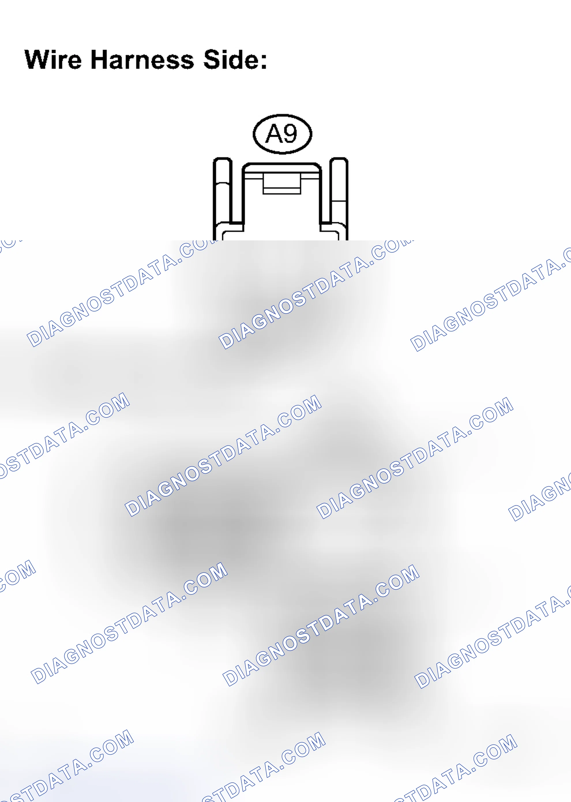 Scheme 5