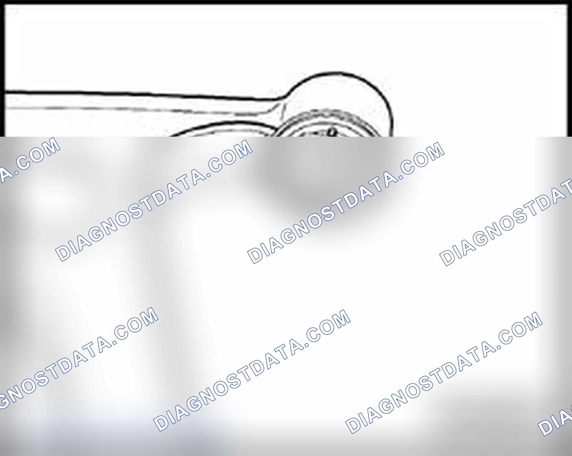 Scheme 896