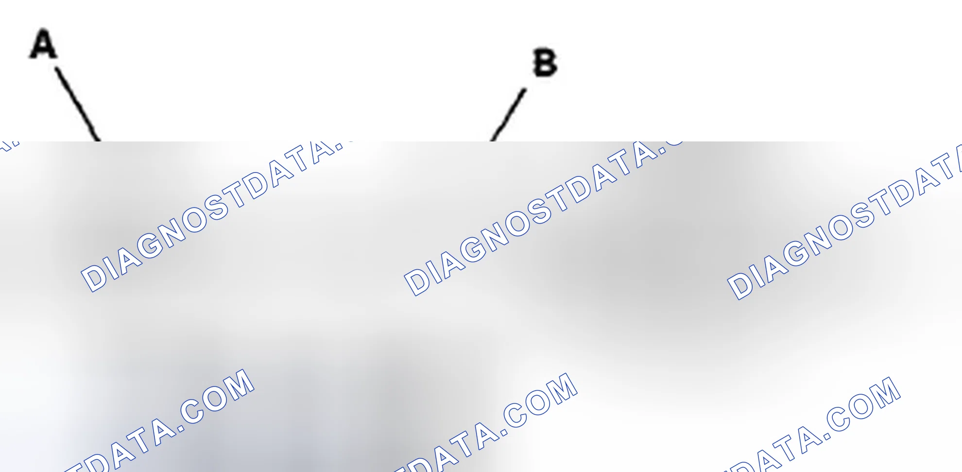 Scheme 165
