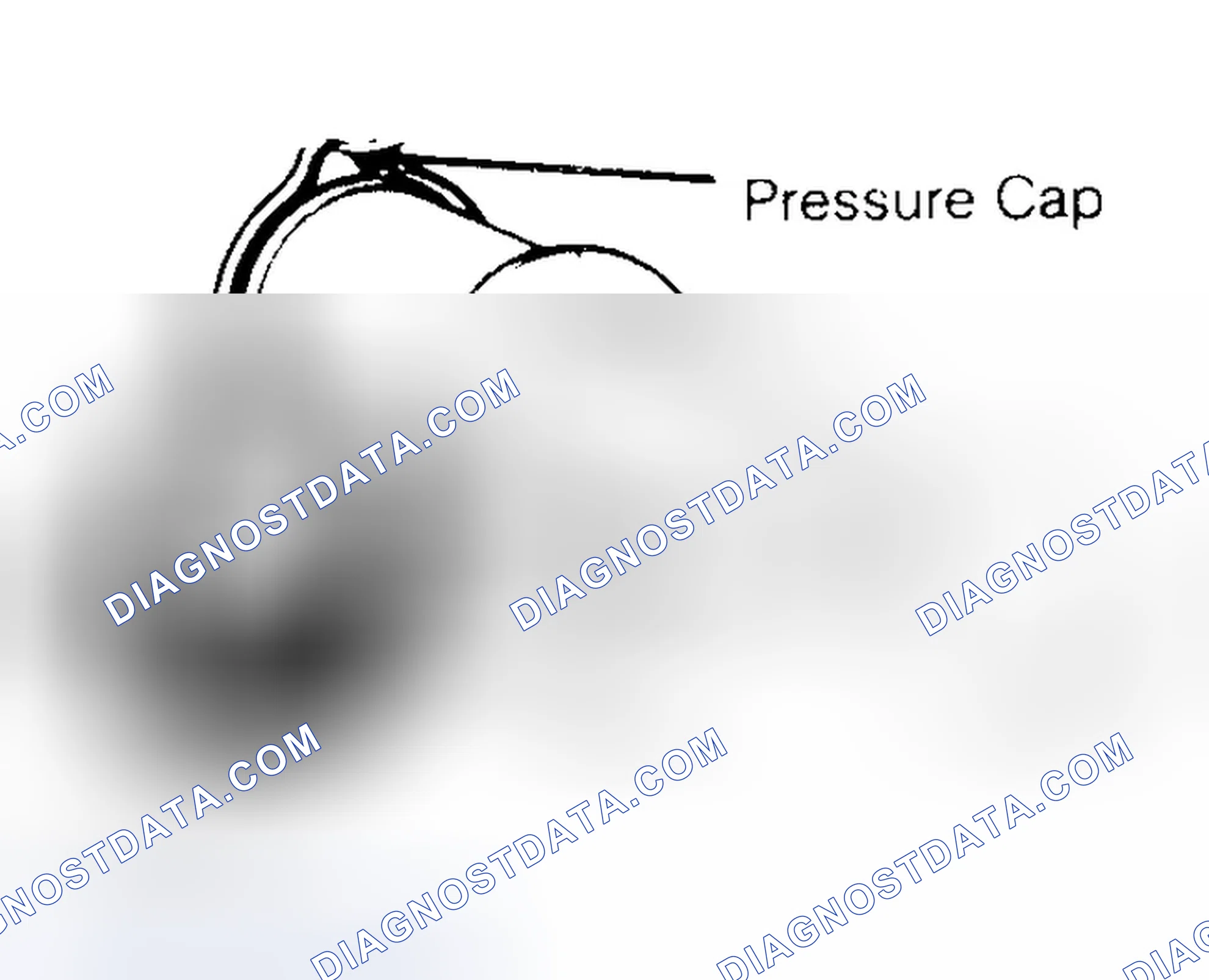 Scheme 2: Pressure Testing Radiator Cap