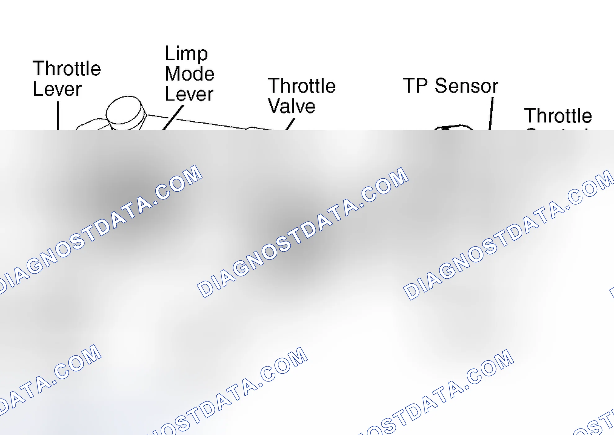Scheme 9: Land Cruiser, Sequoia & Tundra 4.7L V8