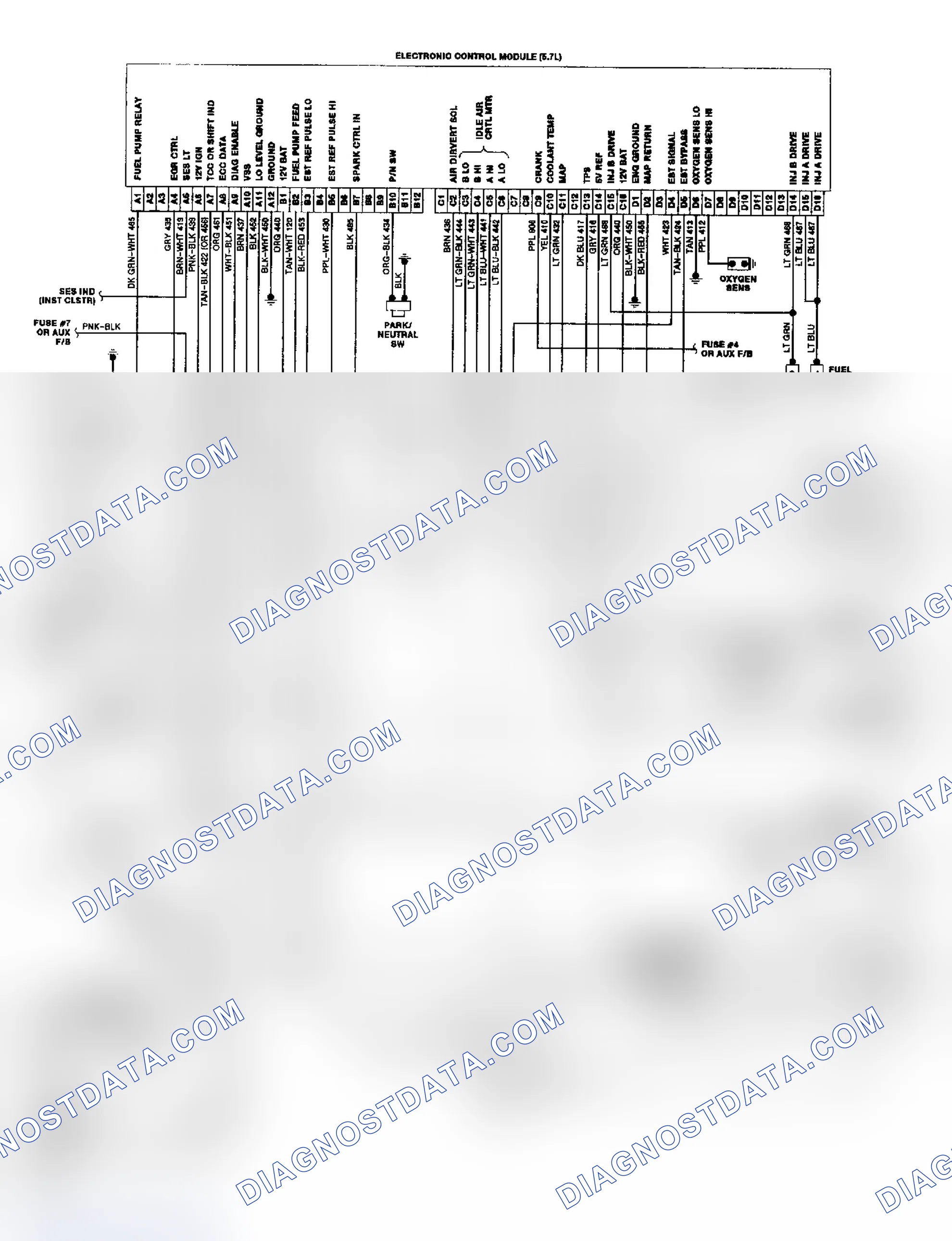Scheme 19: "P" Series TBI/CCC Wiring Diagram