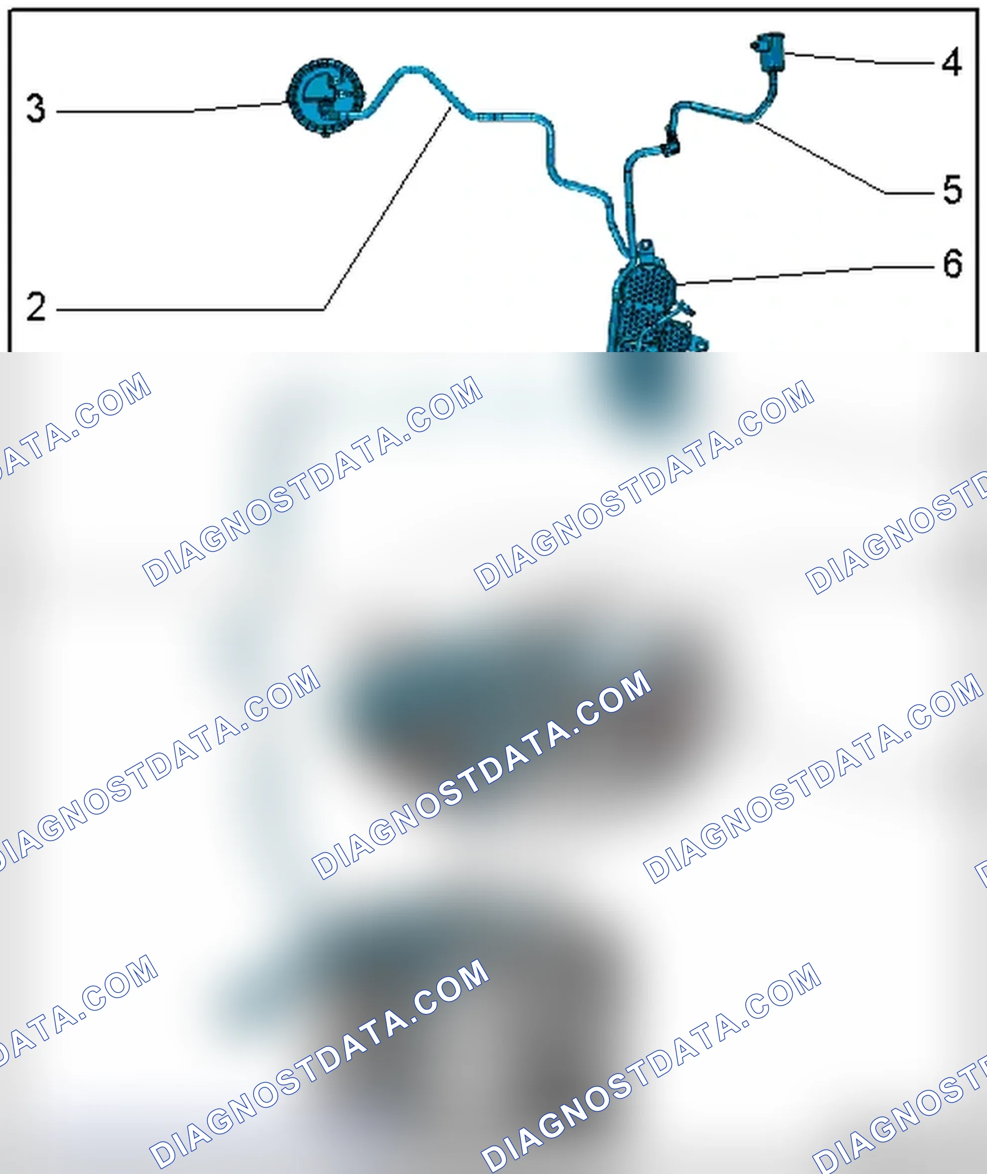 Scheme 13: EVAP CANISTER AND LEAK DETECTION SYSTEM HOSE DIAGRAM - ENGINE CODE(S): CAUA & CFSA