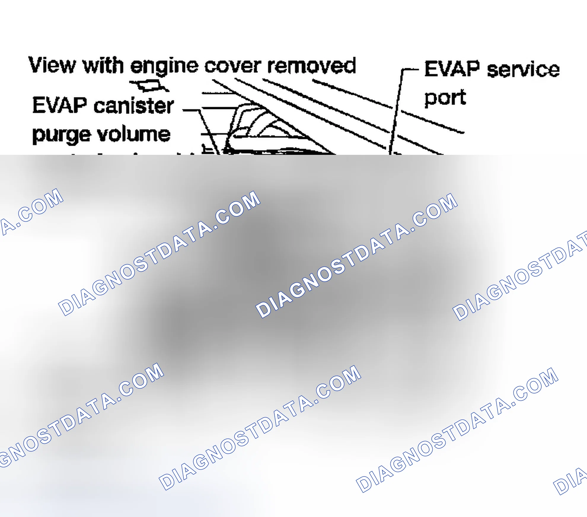 Scheme 245: Diagnostic Procedure