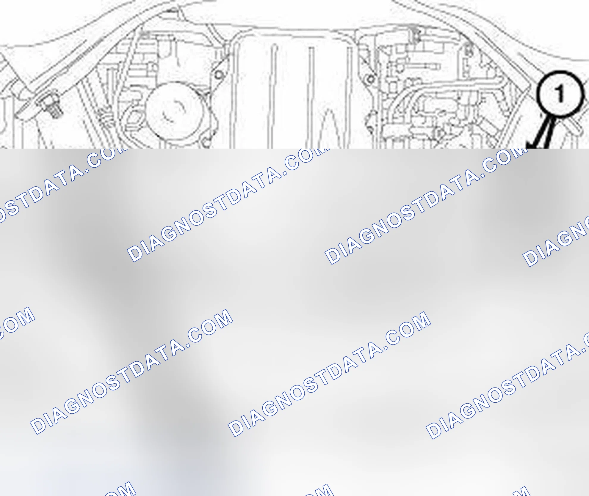 Scheme 338