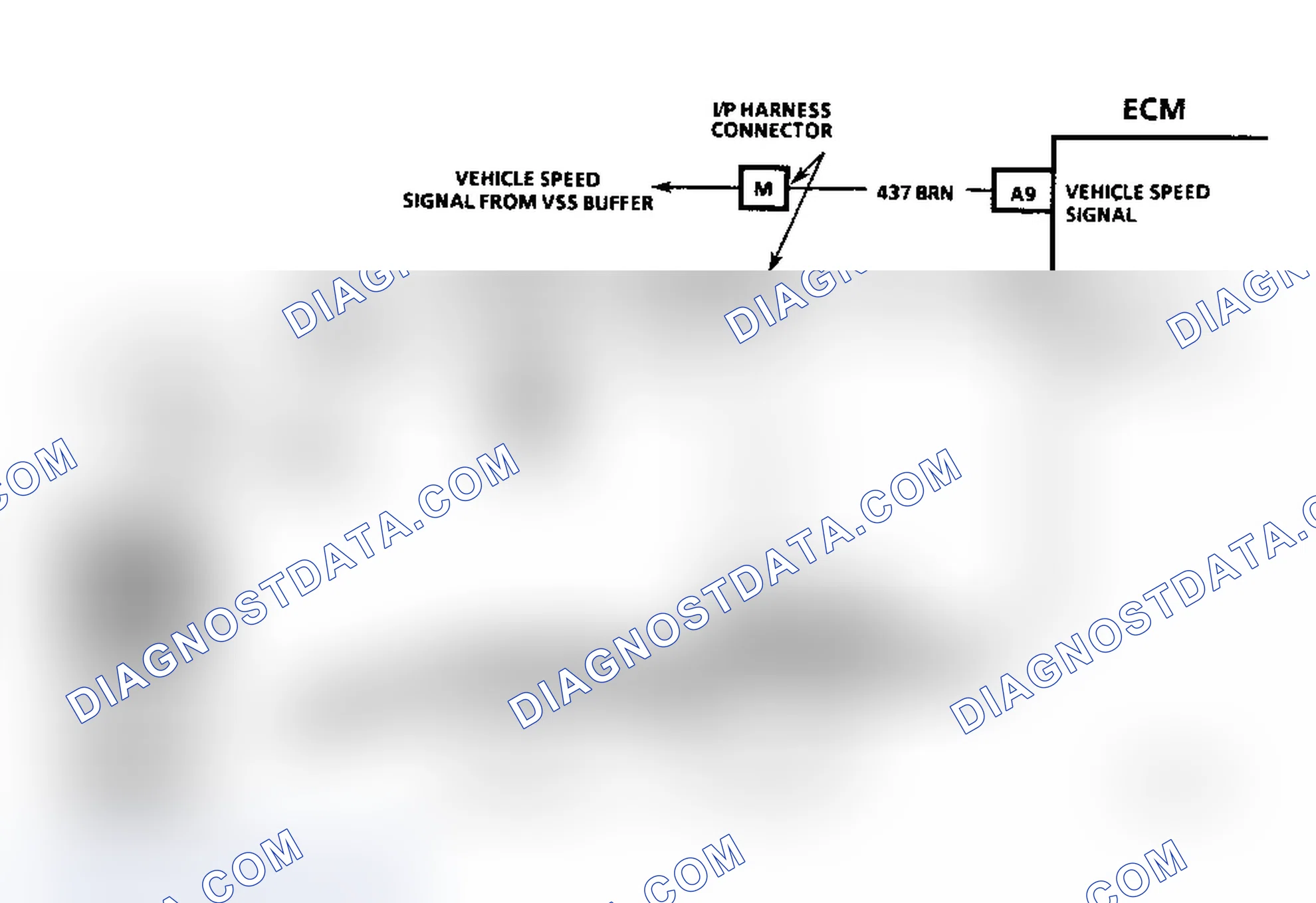 Scheme 316