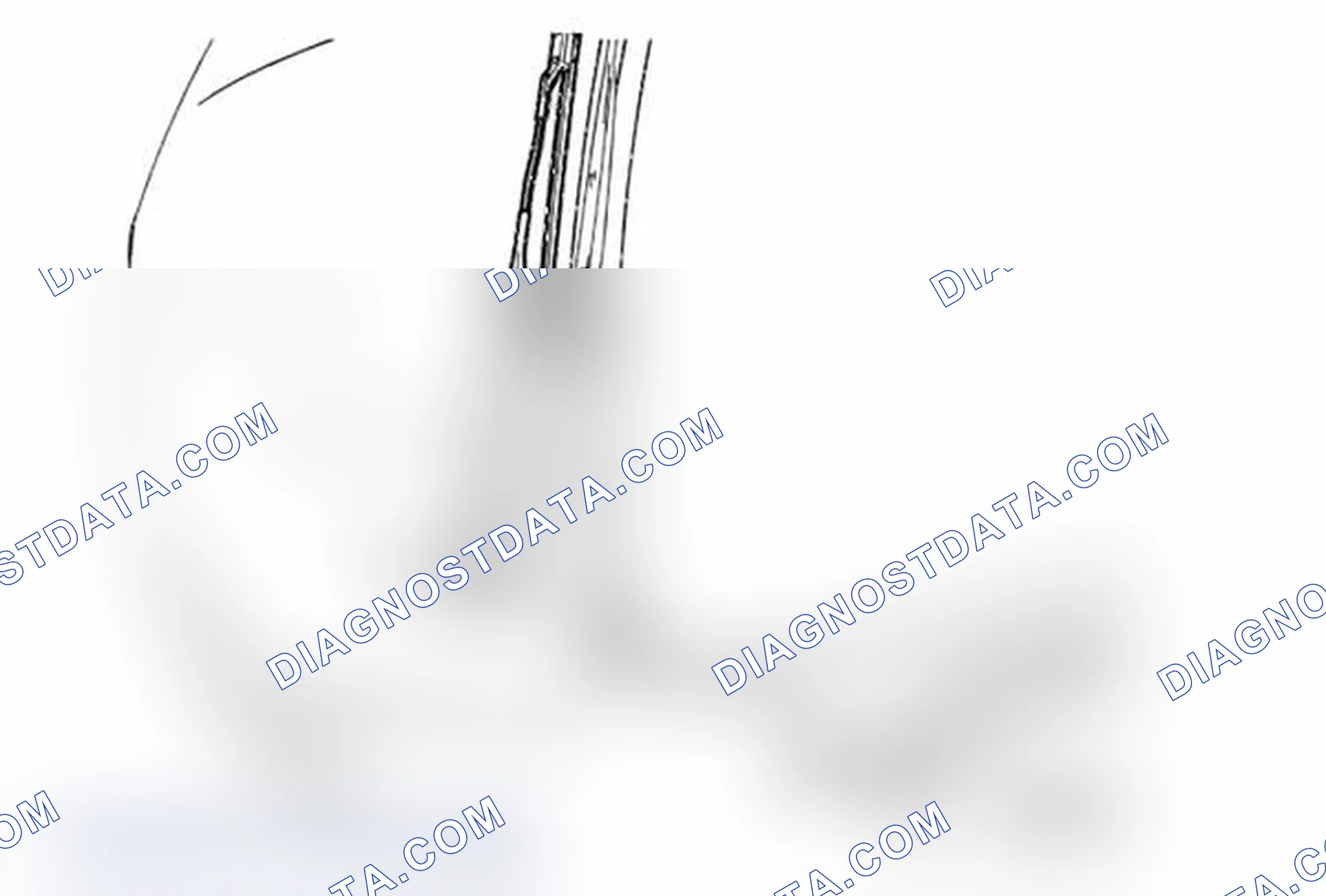 Scheme 24: Windshield Wiper Arm Replacement