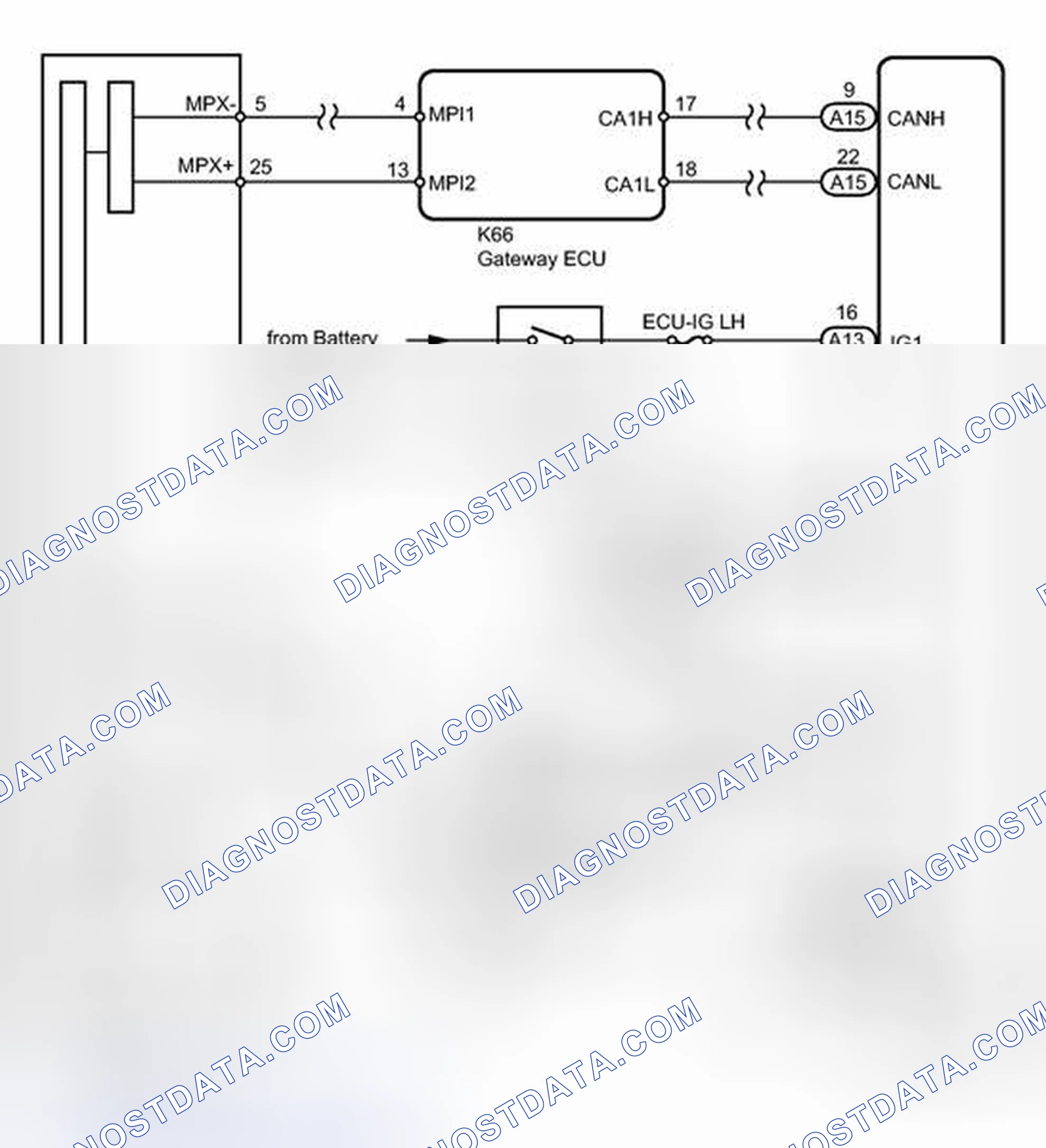 Scheme 149: WIRING DIAGRAM