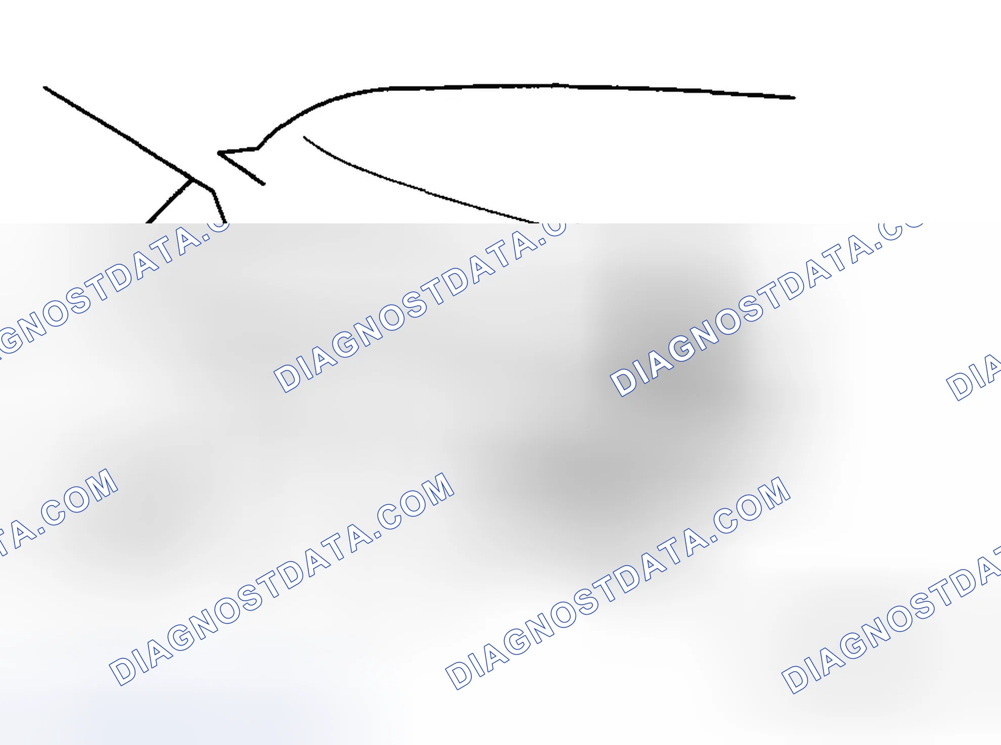 Scheme 52: Chassis Number
