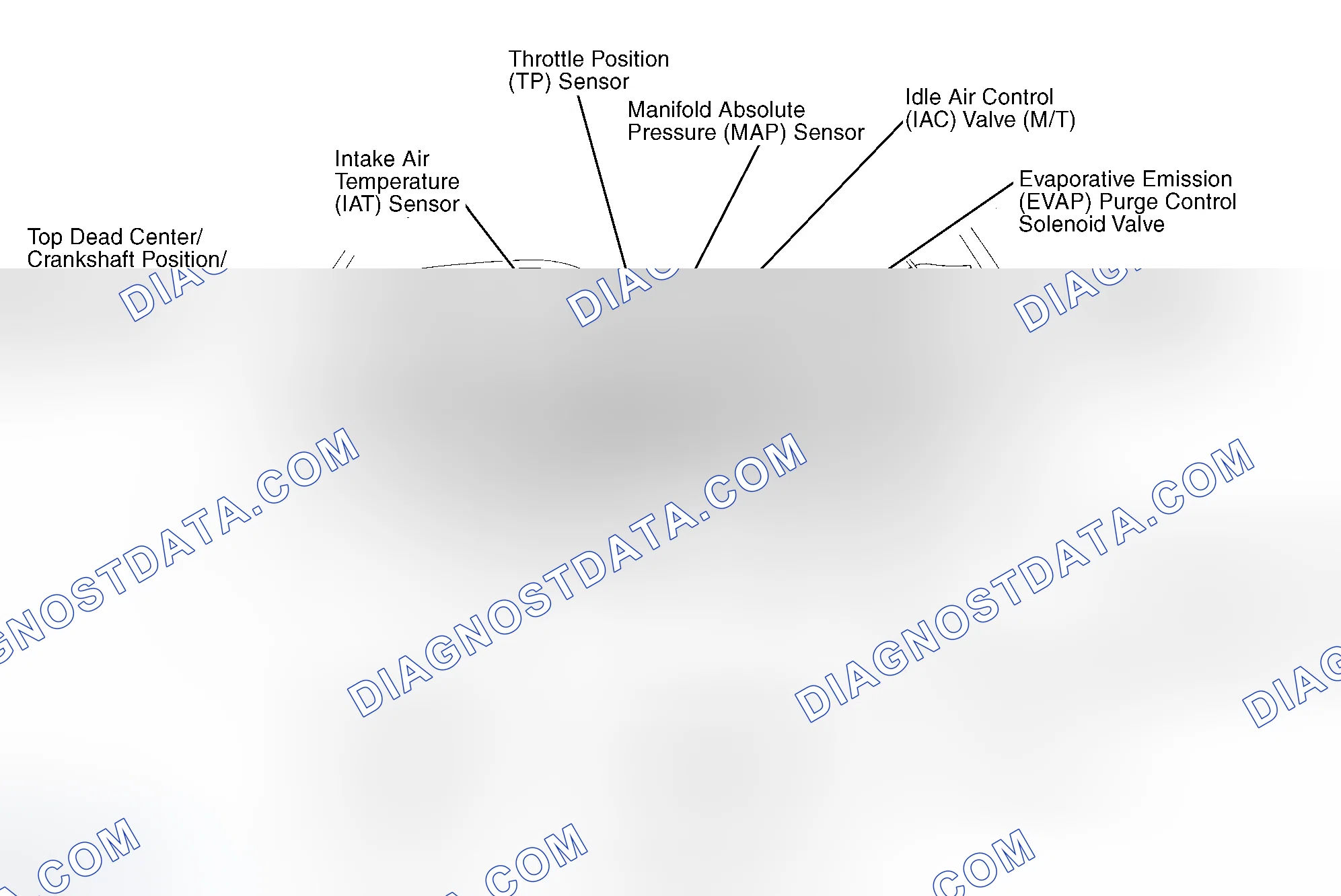 Scheme 3: Engine Compartment (1.6L SOHC VTEC)