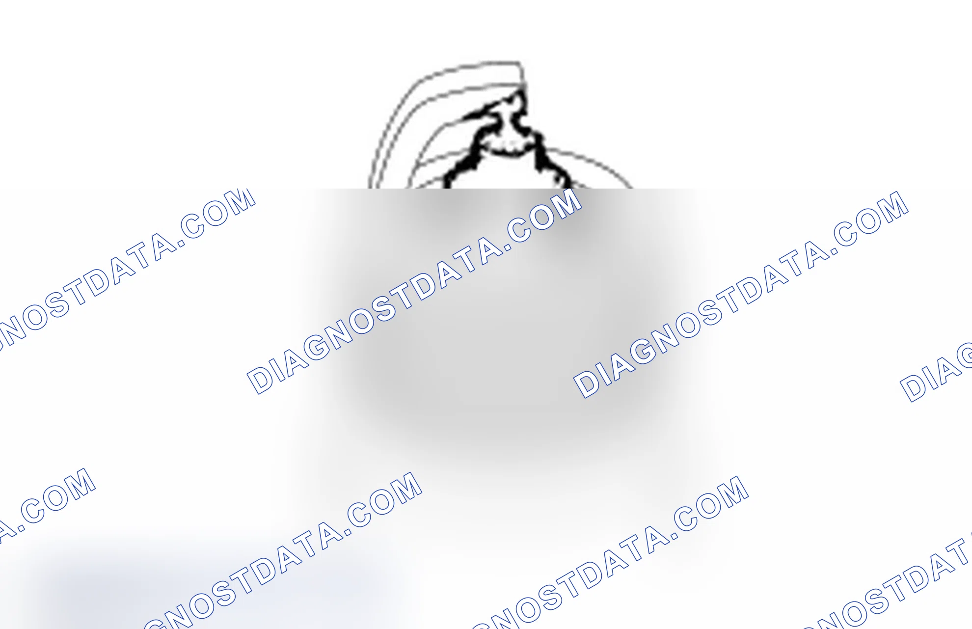 Scheme 275: Spark Plug Inspection