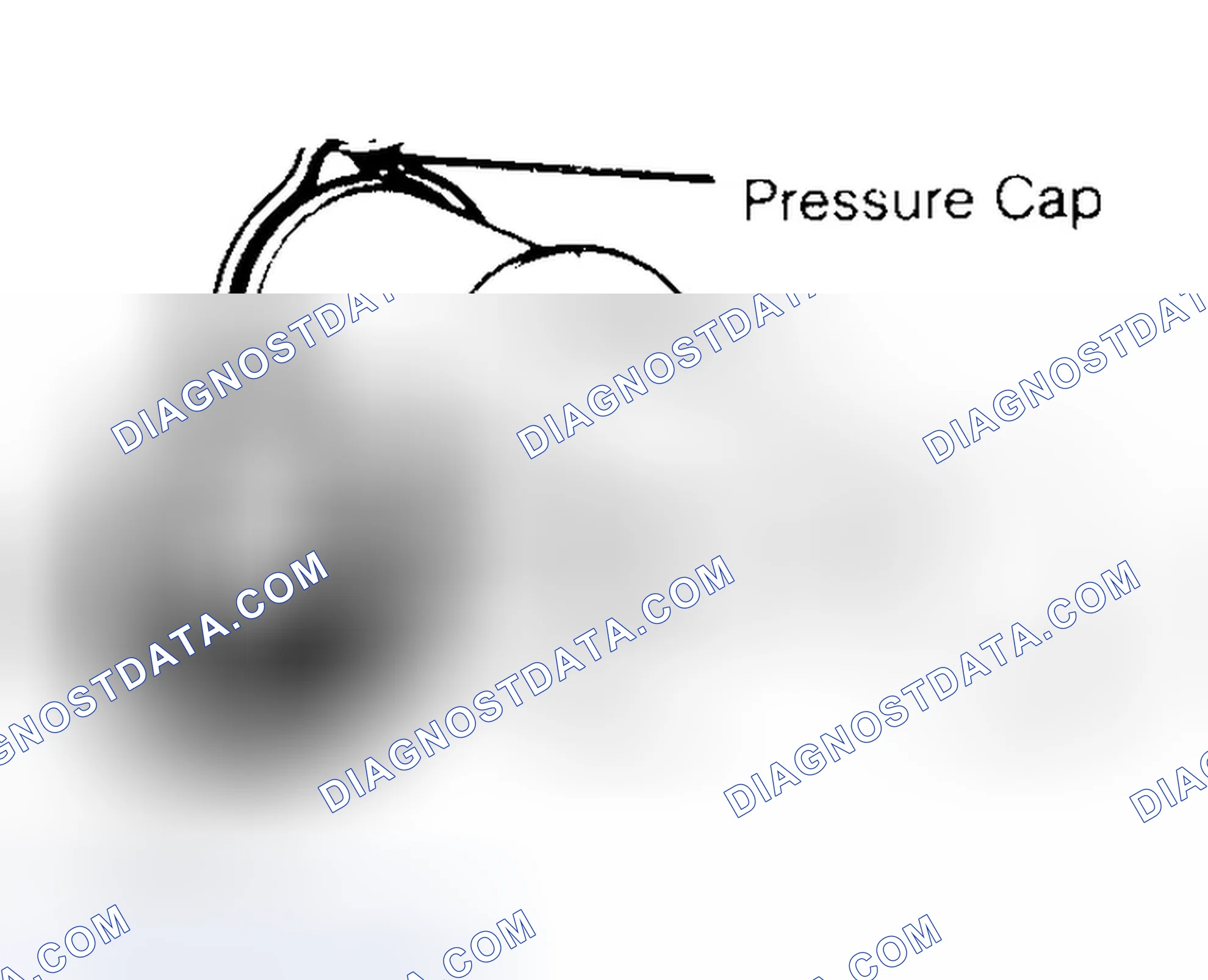 Scheme 2: Pressure Testing Radiator Cap
