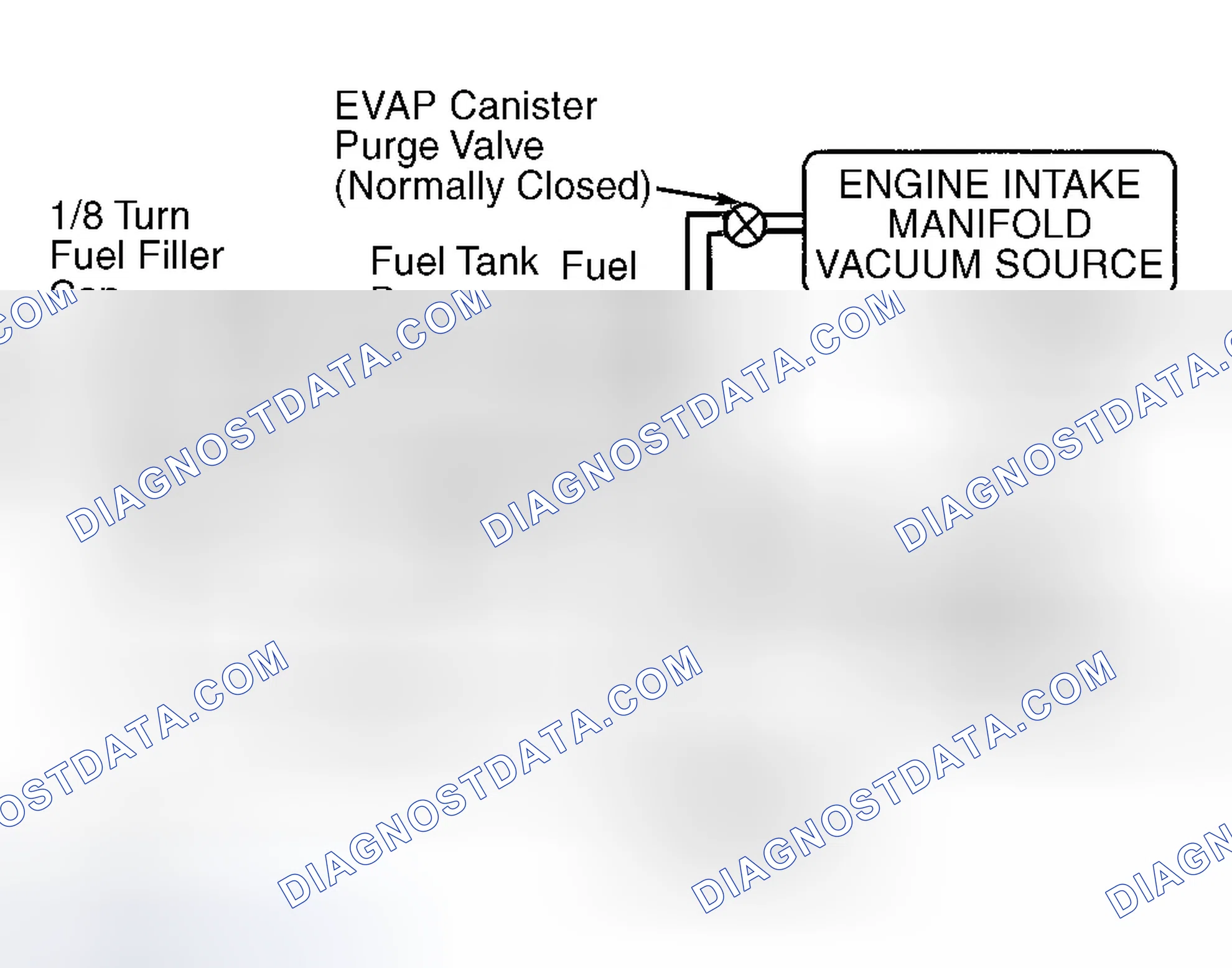 Scheme 41: Identifying EVAP System Components