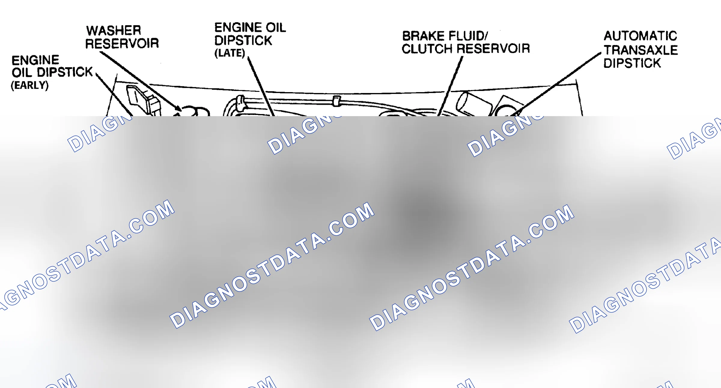 Scheme 6