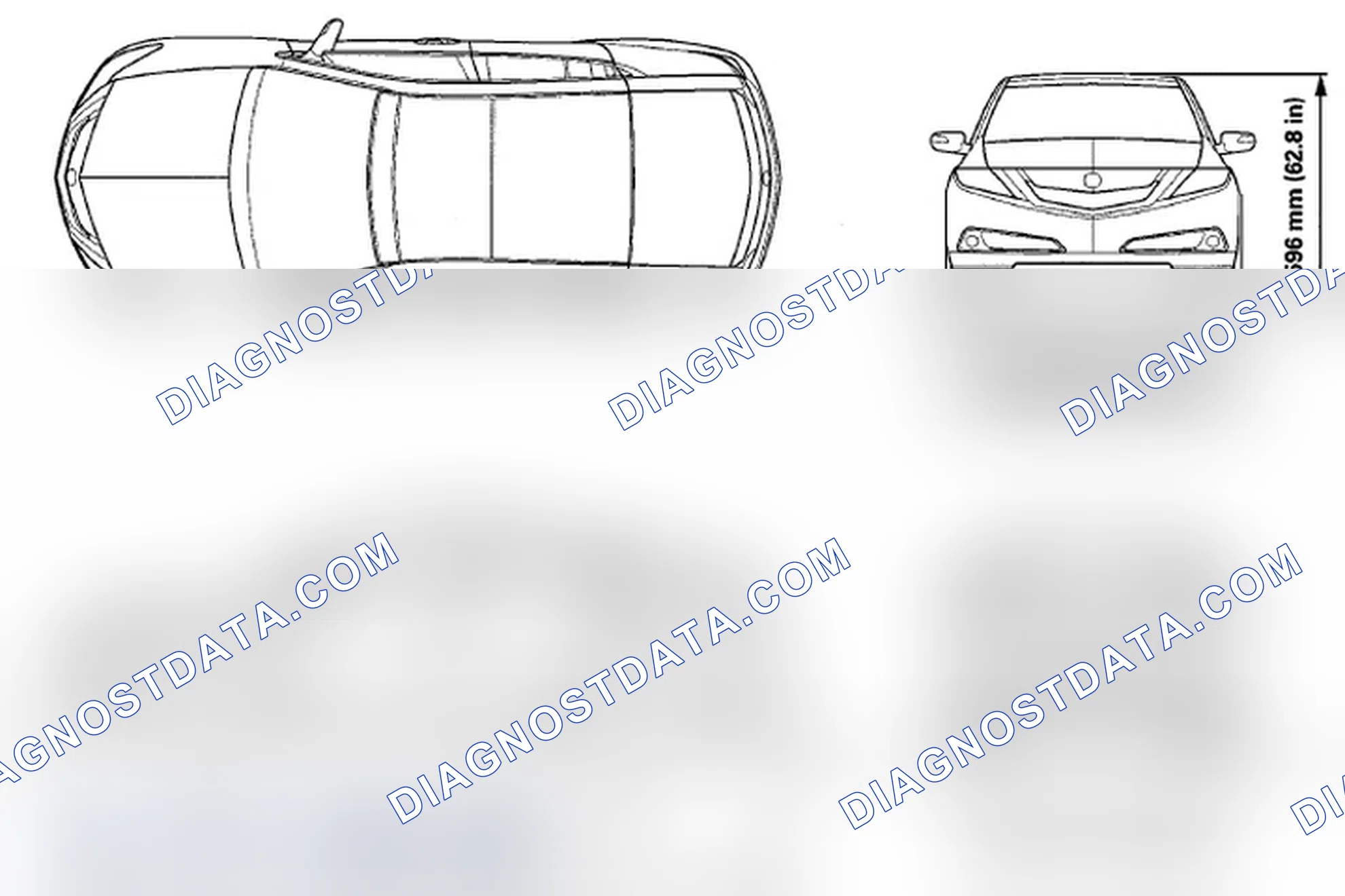 Scheme 1: Body Specifications