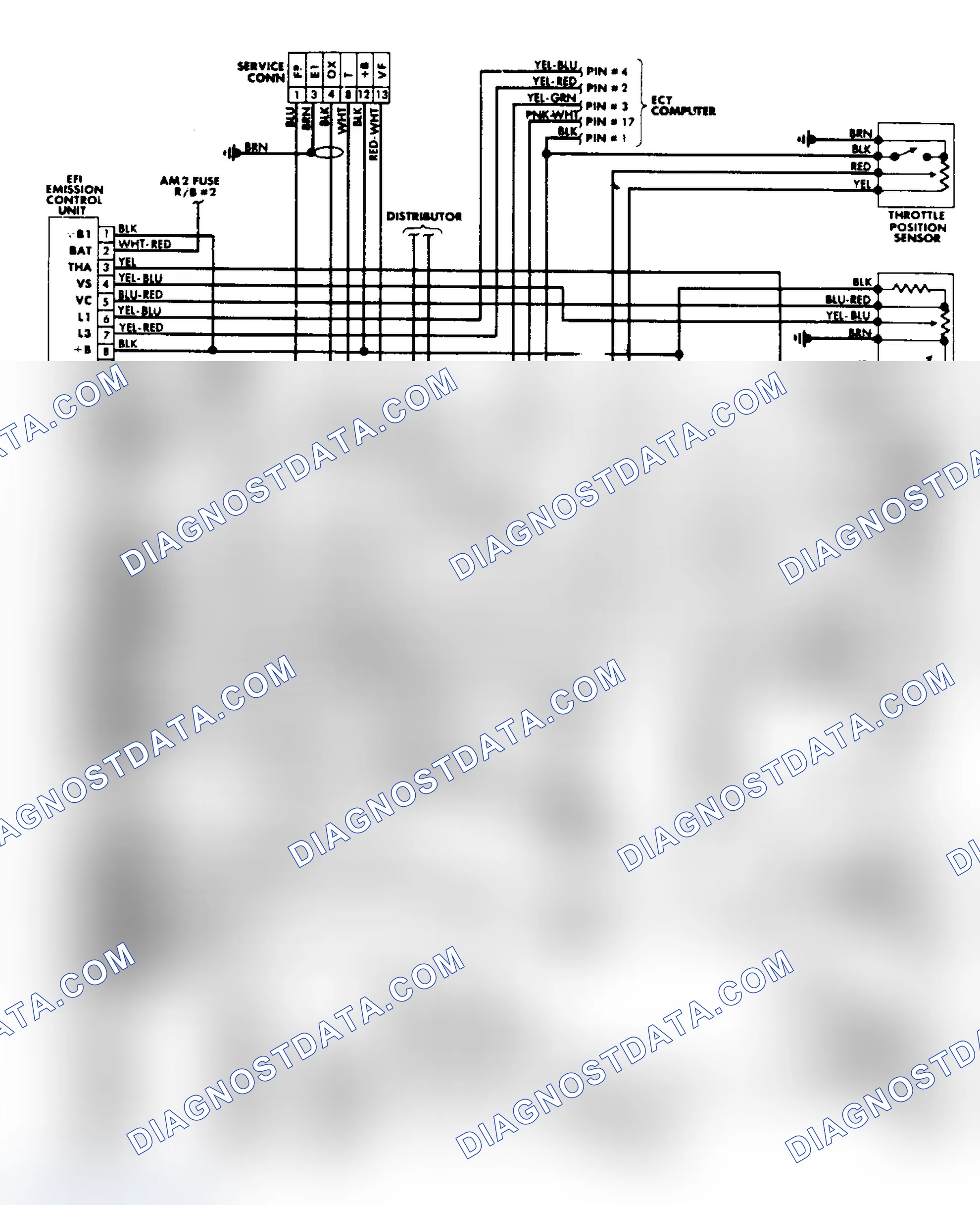 Scheme 55: EFI/TCCS Wiring Diagram (MR2)
