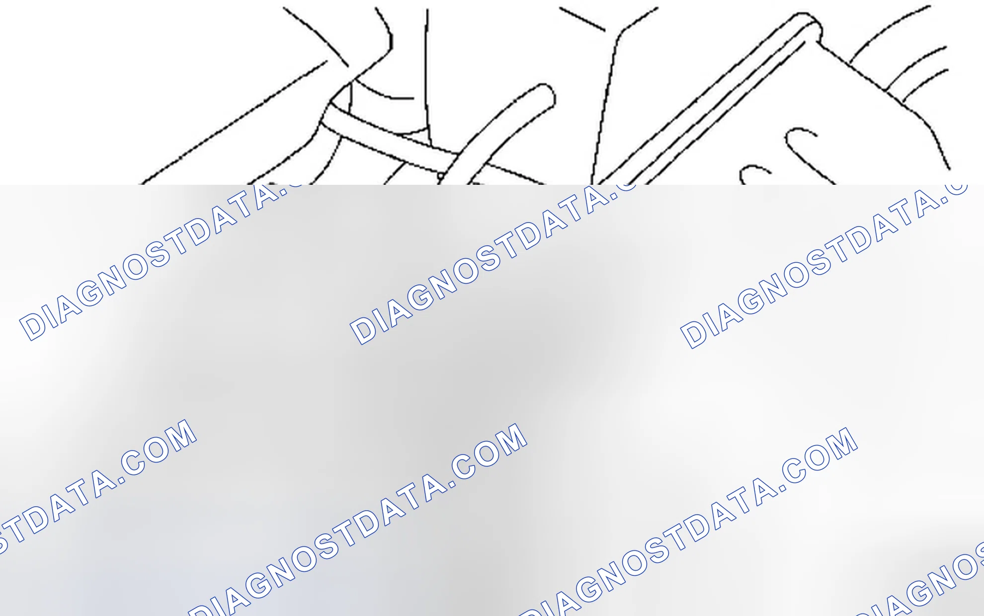 Scheme 335