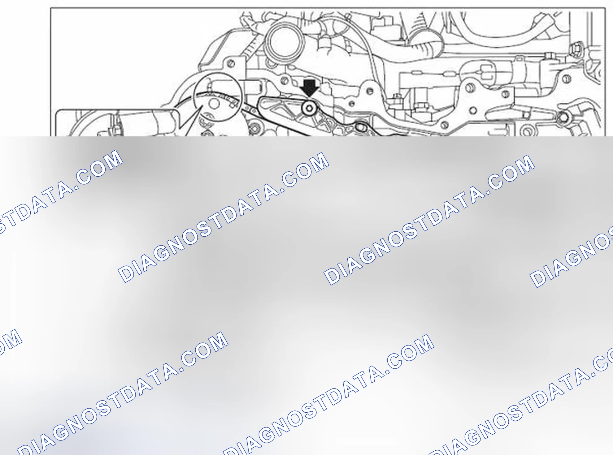 Scheme 205