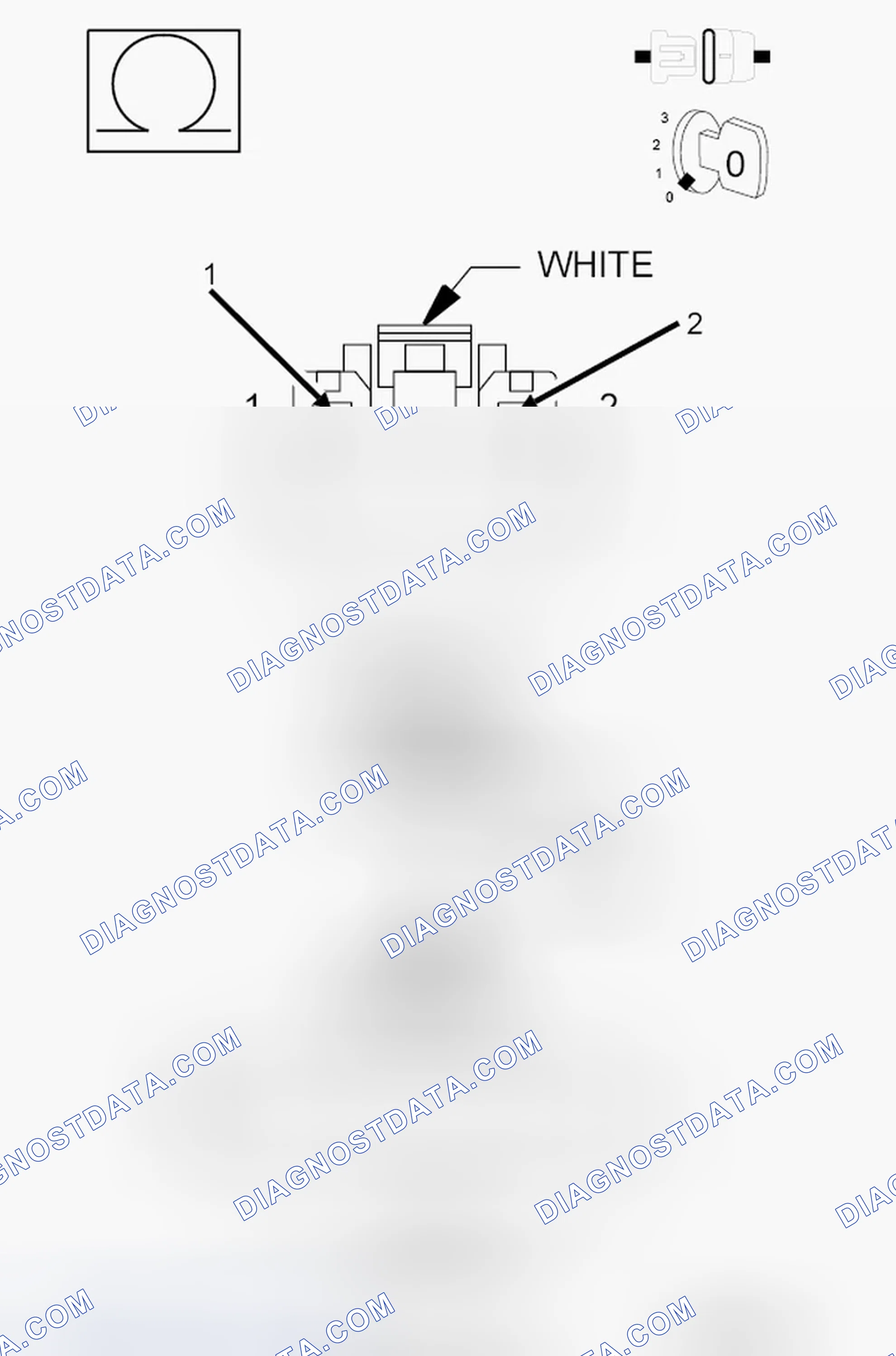 Scheme 58: Diagnostic Test