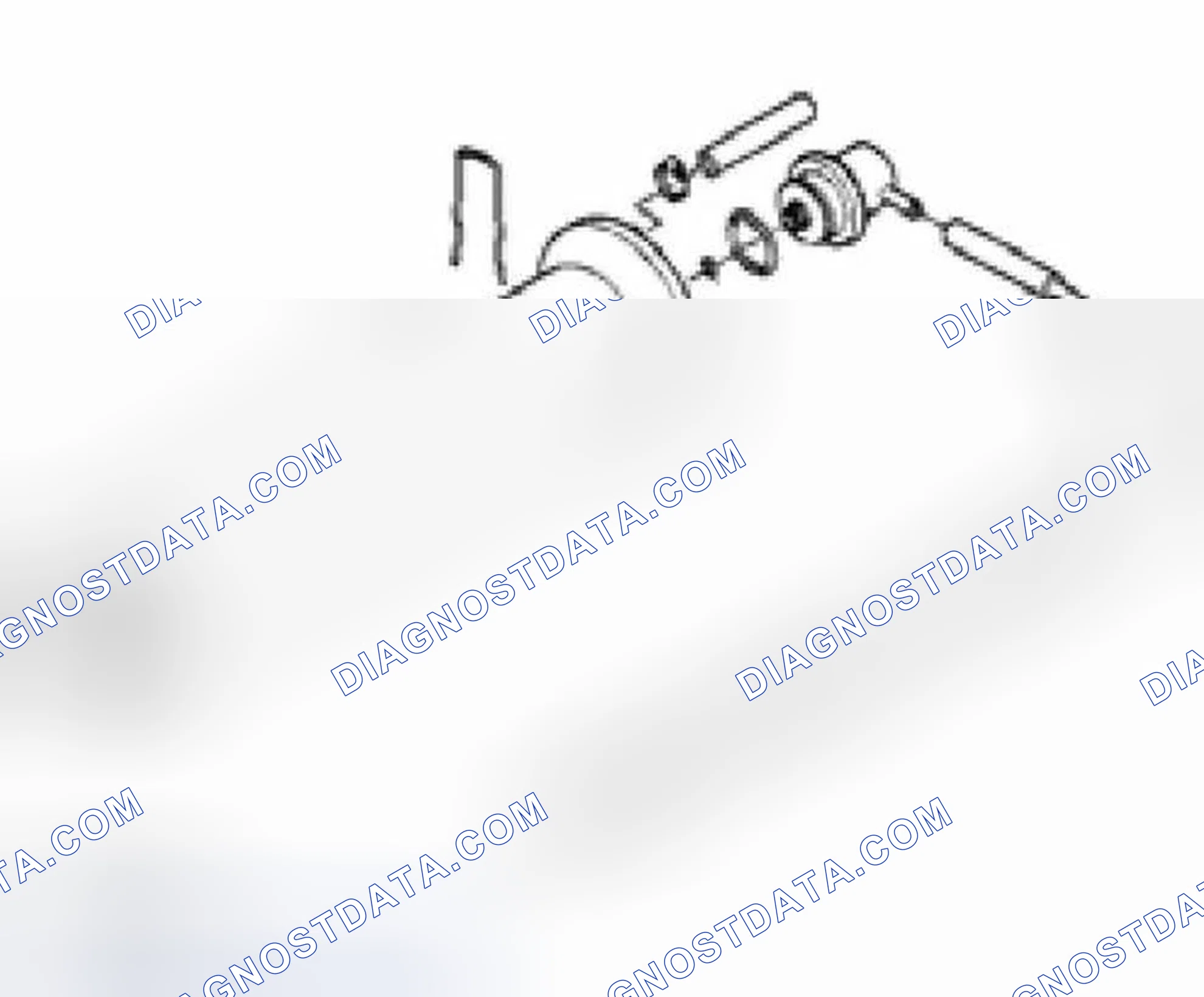 Scheme 427: Non Return Fuel Rail System Diagram