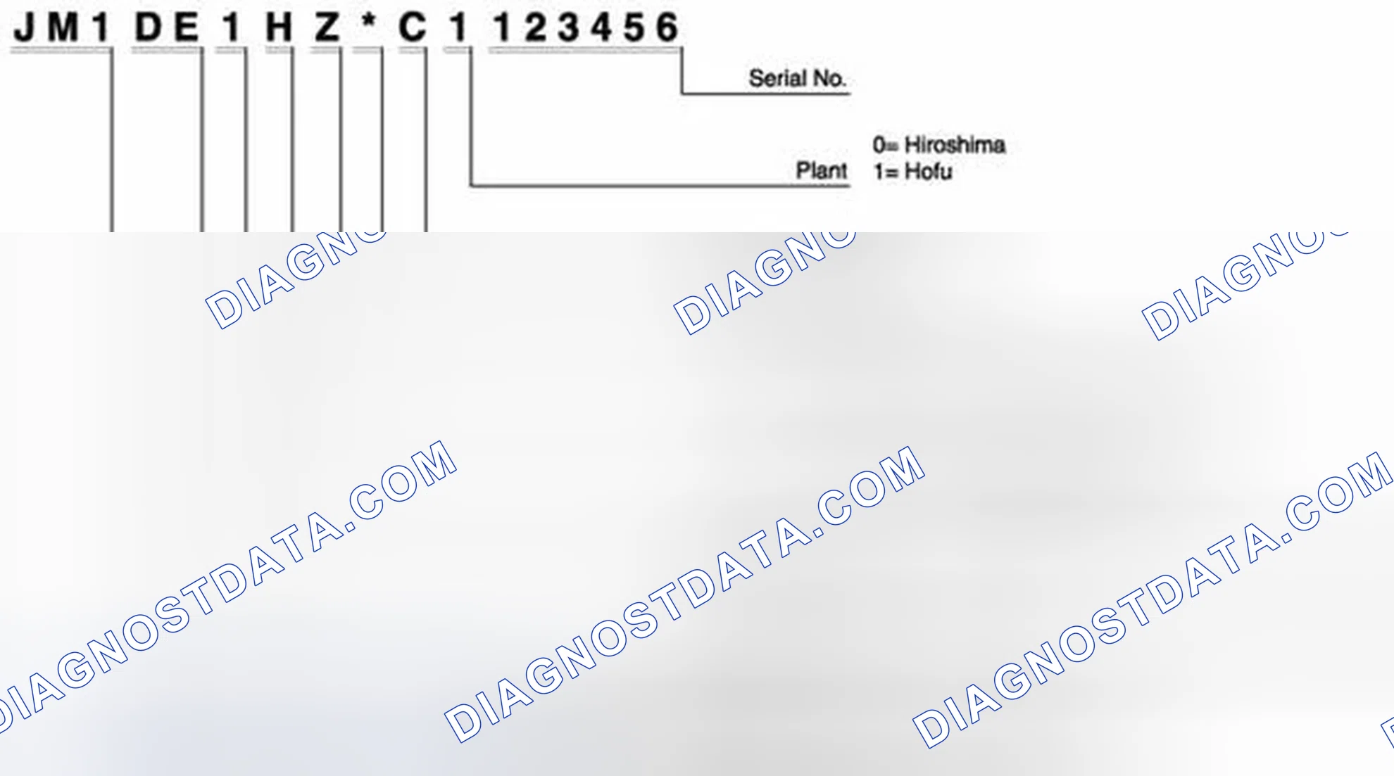 Scheme 1: Identifying Vehicle Identification Number (VIN) Code