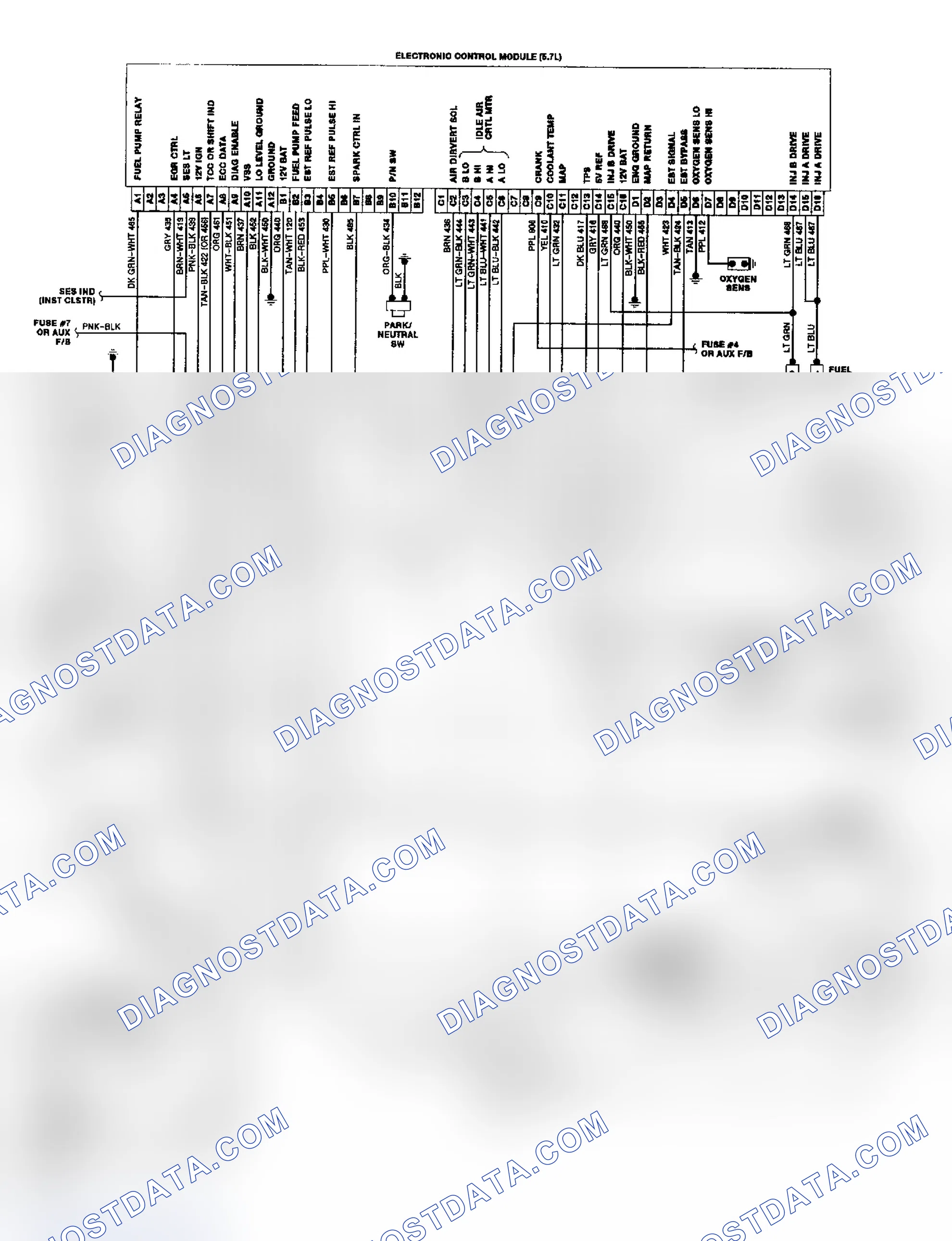 Scheme 19: "P" Series TBI/CCC Wiring Diagram