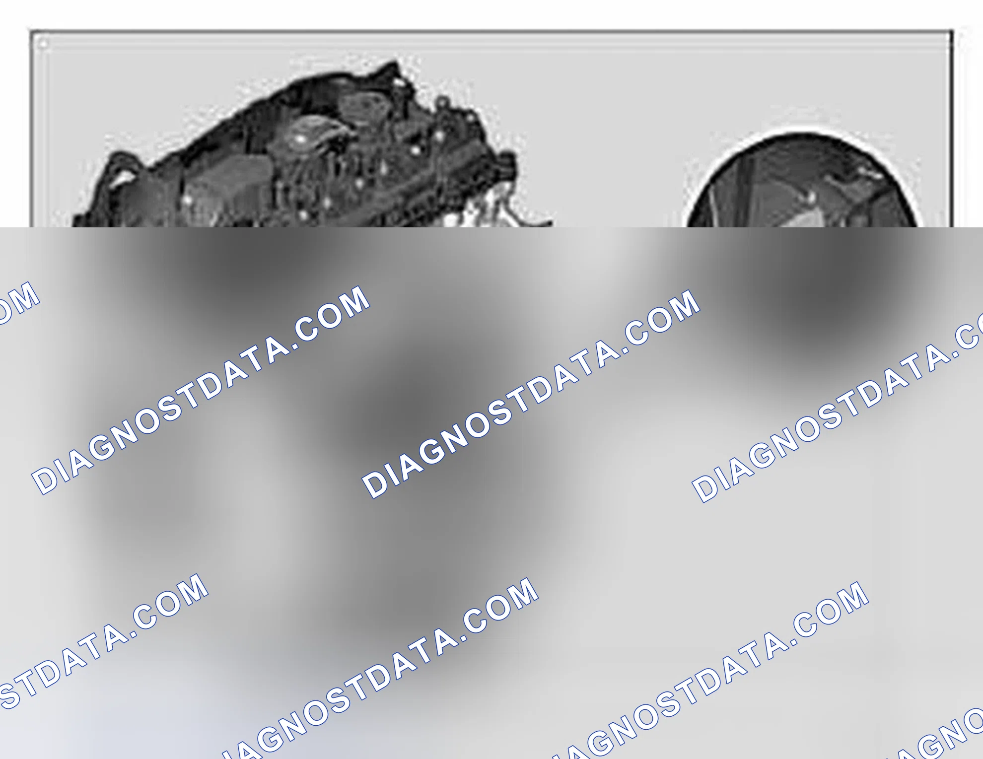 Scheme 66: Engine identification