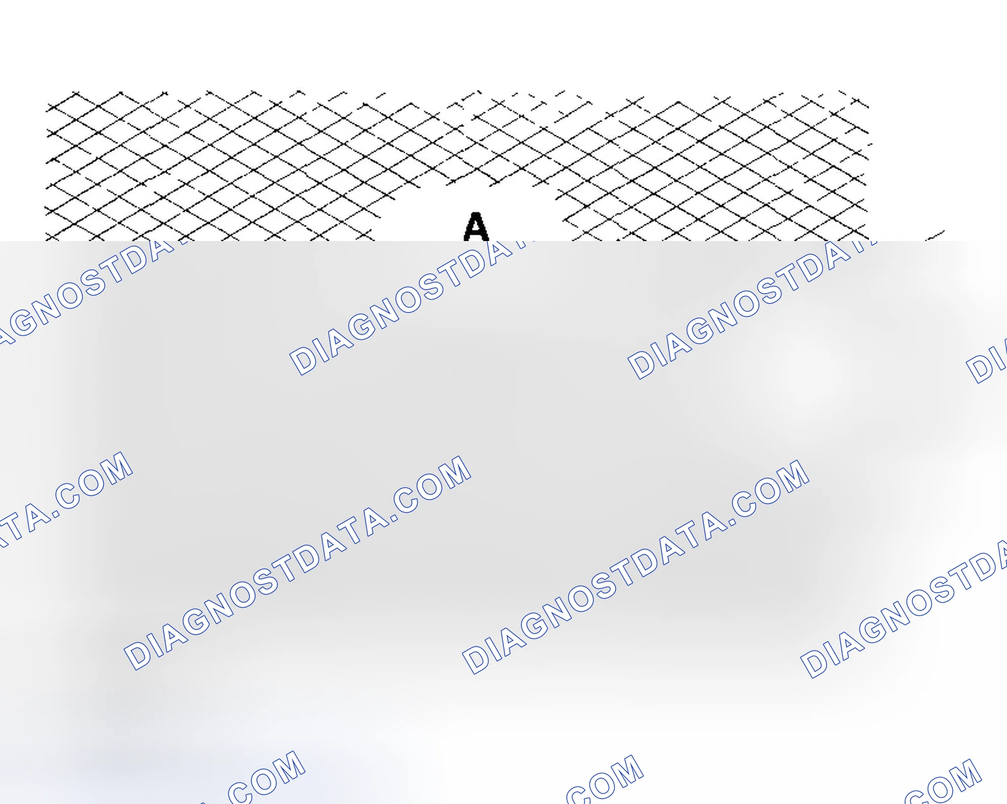 Scheme 246: Cylinder Bore Honing
