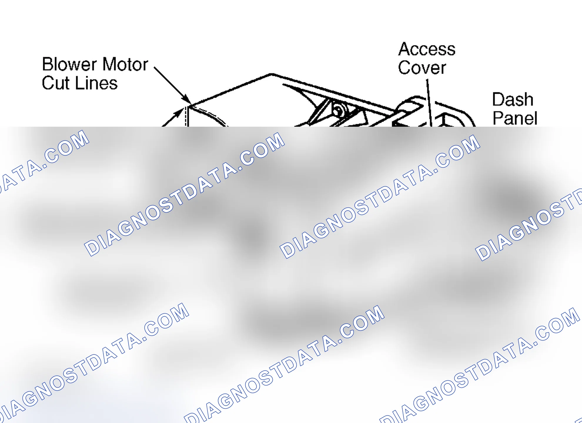 Scheme 5