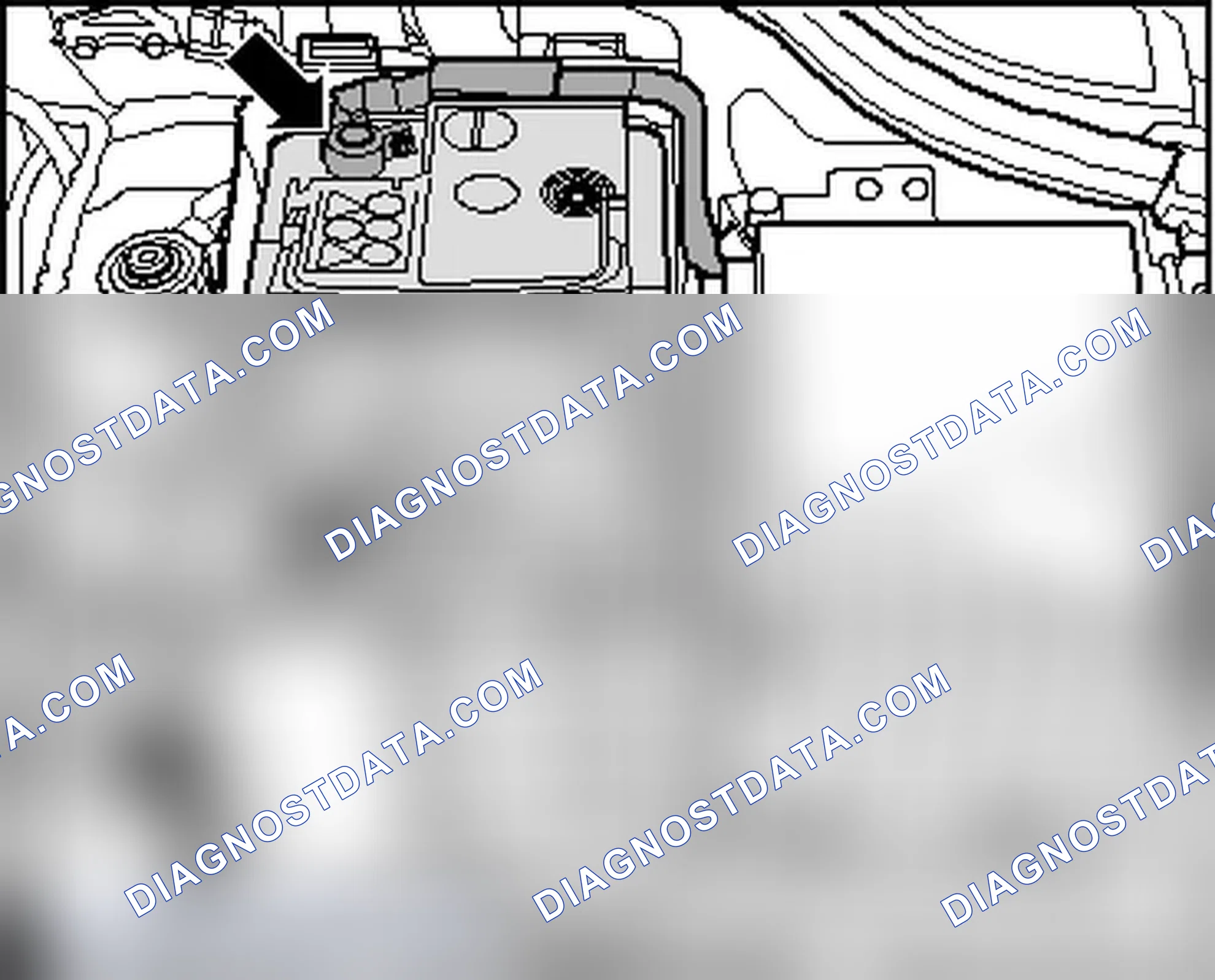 Scheme 338