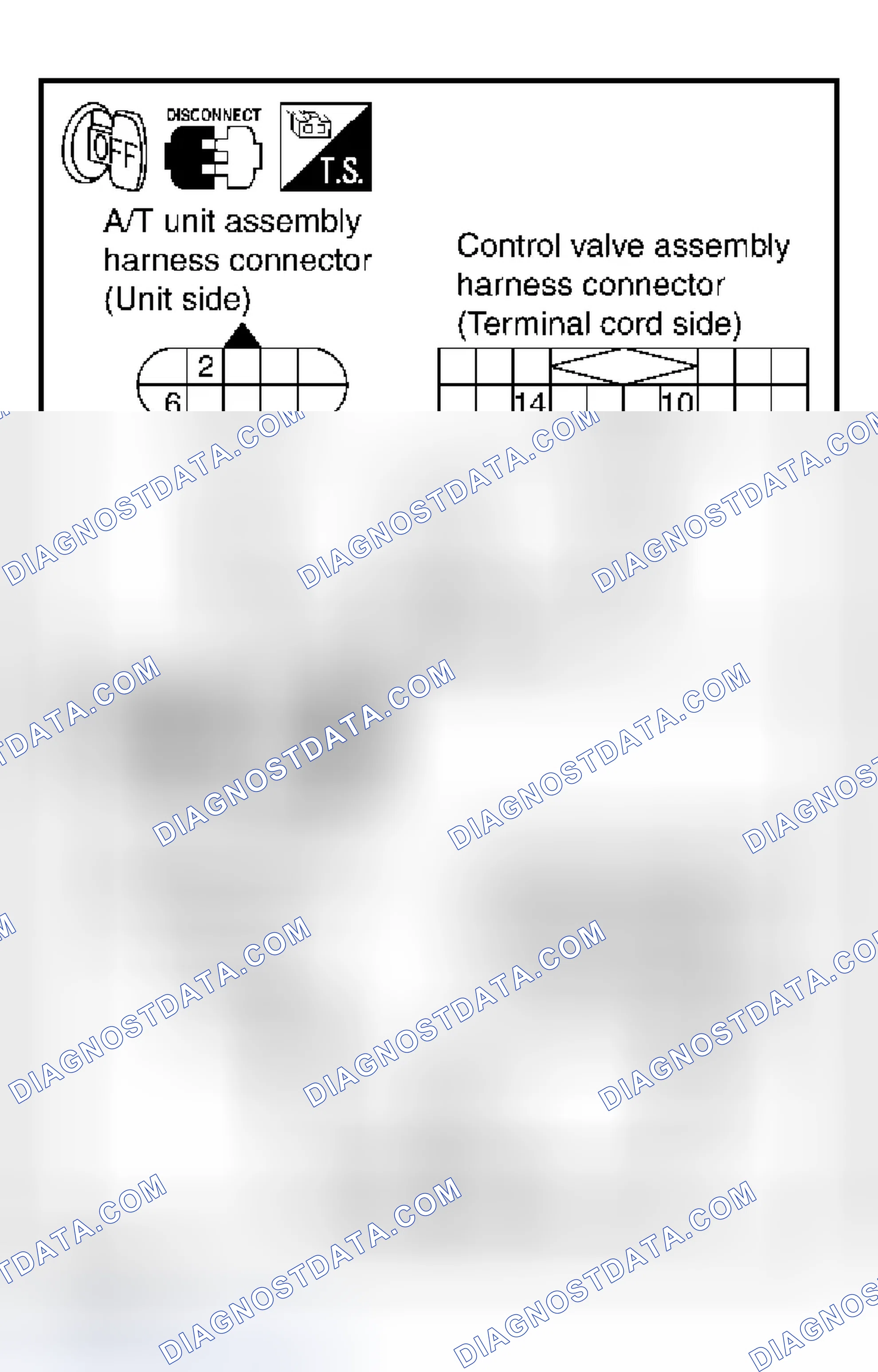 Scheme 517