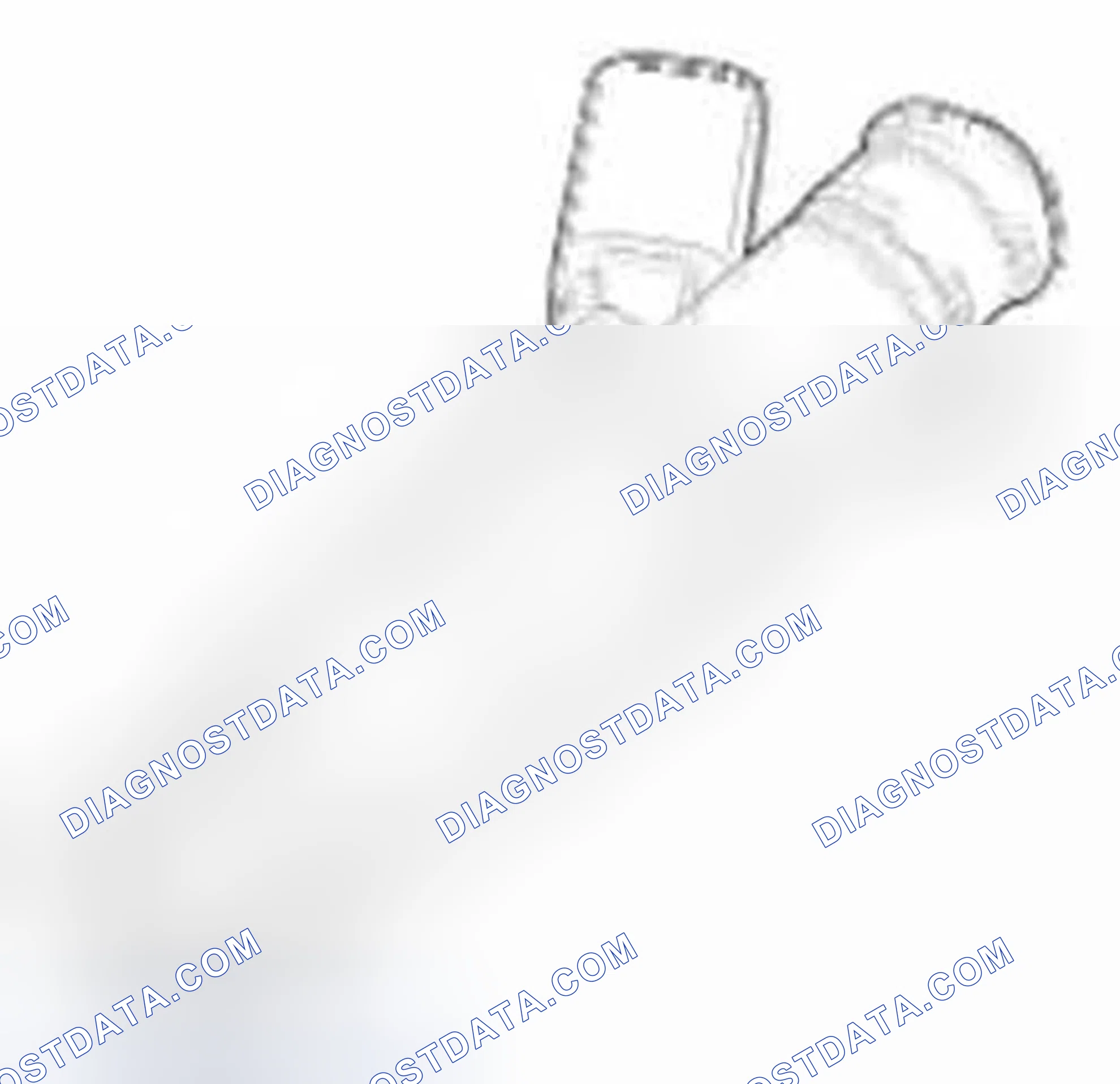 Scheme 207: Description
