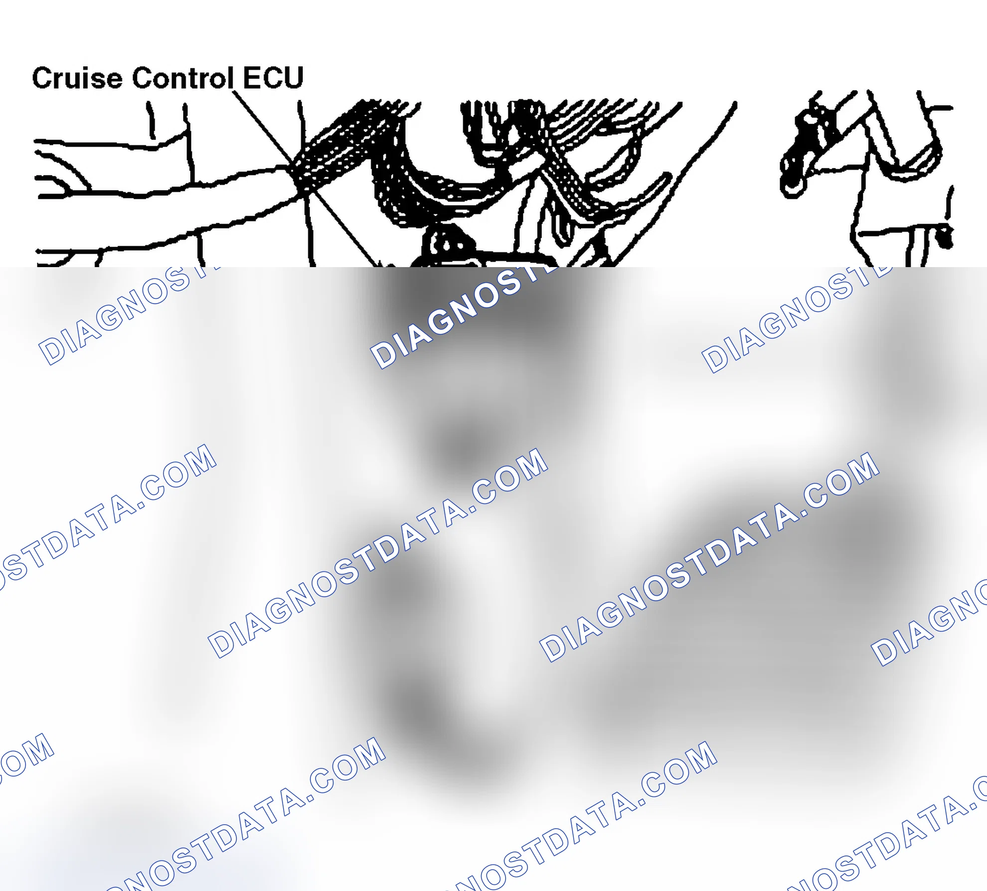 Scheme 79: CRUISE CONTROL ECU