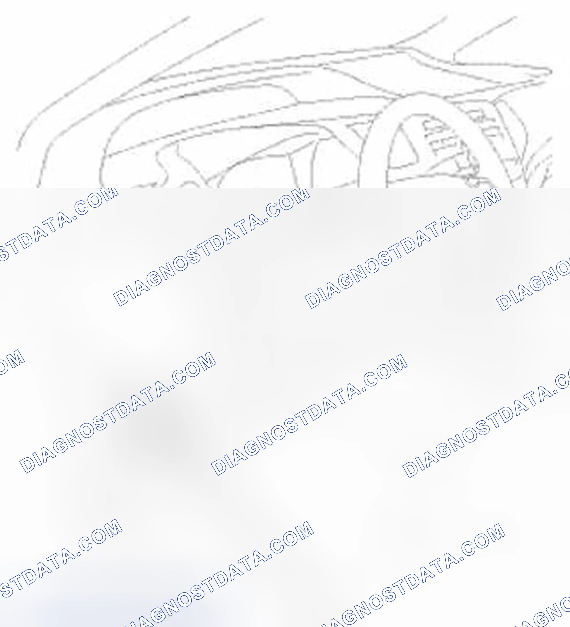 Scheme 107: How to Use the HDS (Honda Diagnostic System)