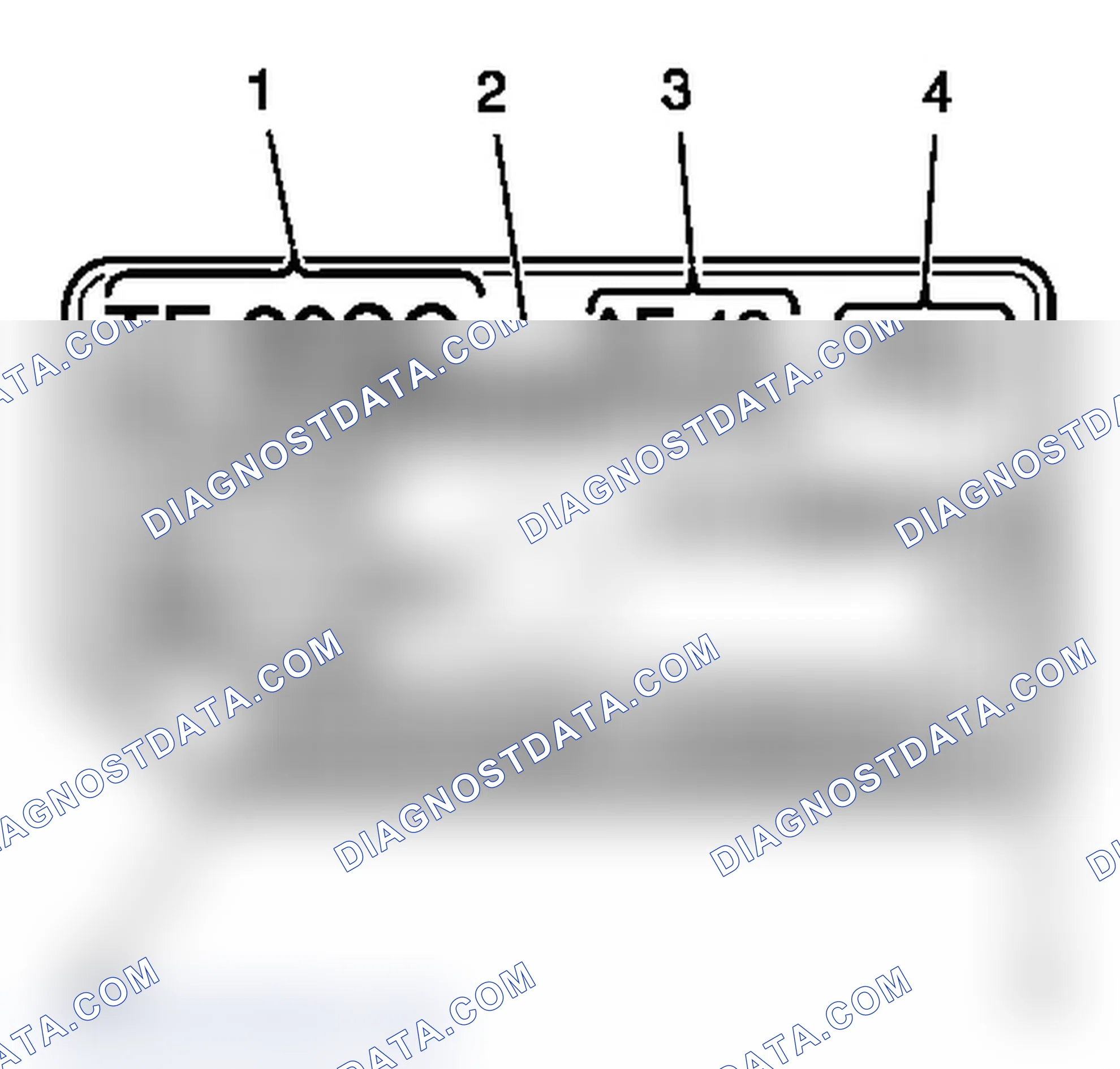 Scheme 52: Transmission Identification Information