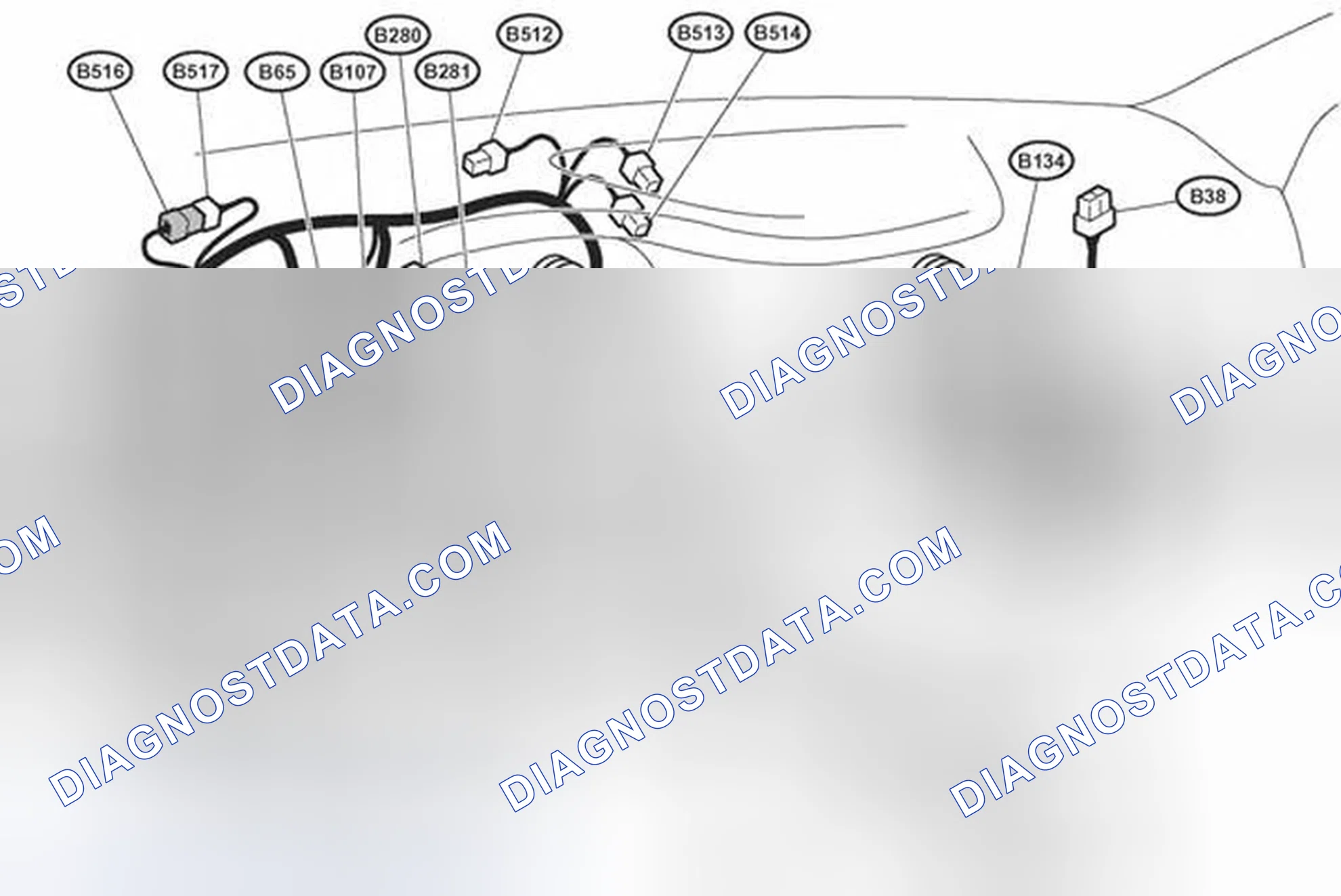 Scheme 5