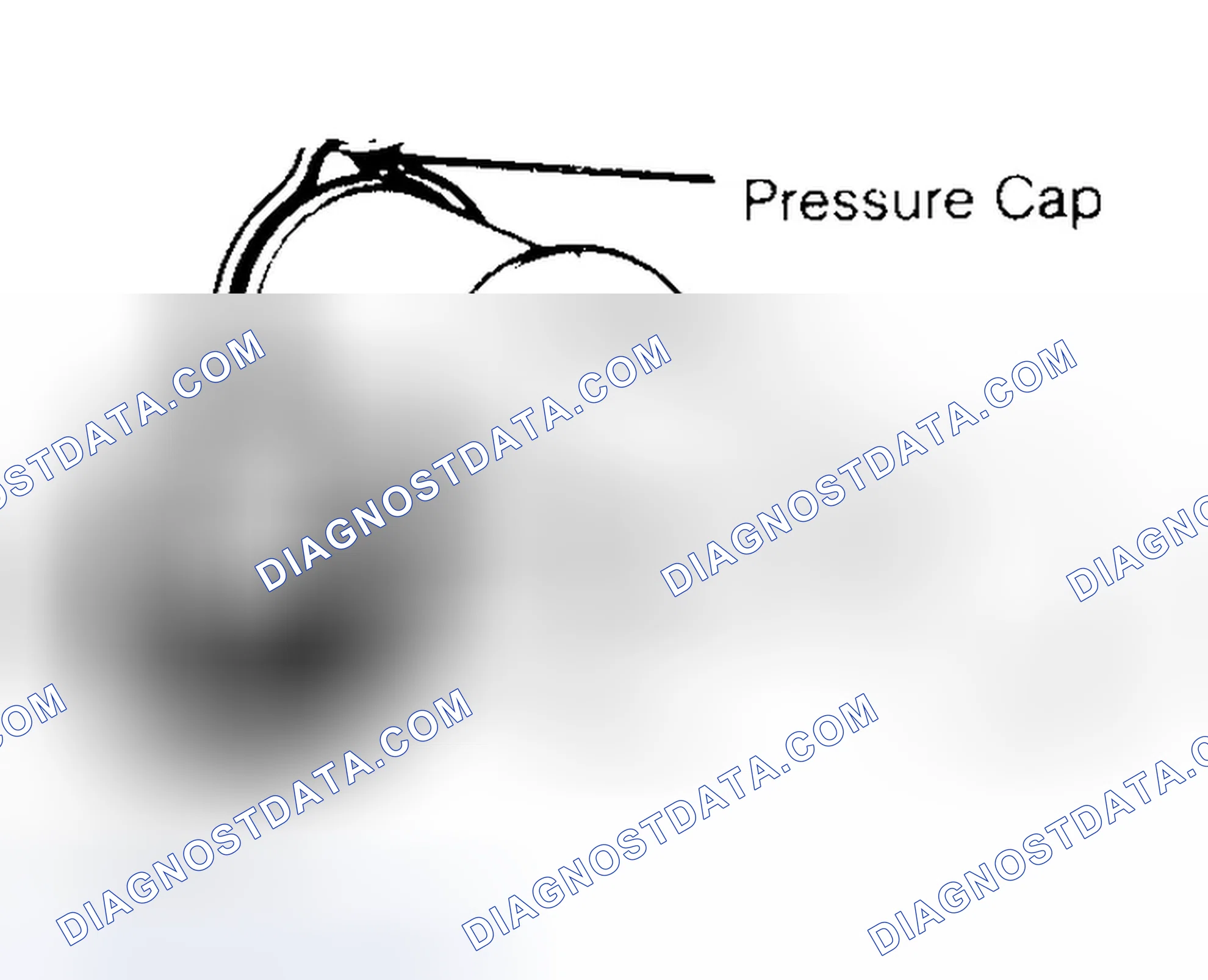 Scheme 2: Pressure Testing Radiator Cap